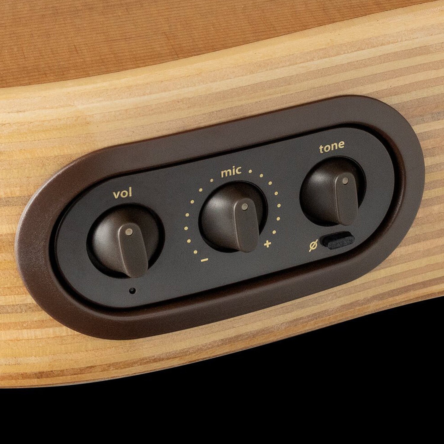 Đàn Guitar Acoustic LR Baggs AEG-1 - Việt Music