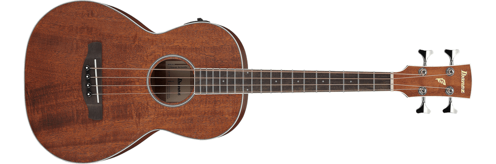 Guitar Bass Acoustic Ibanez PNBE14E