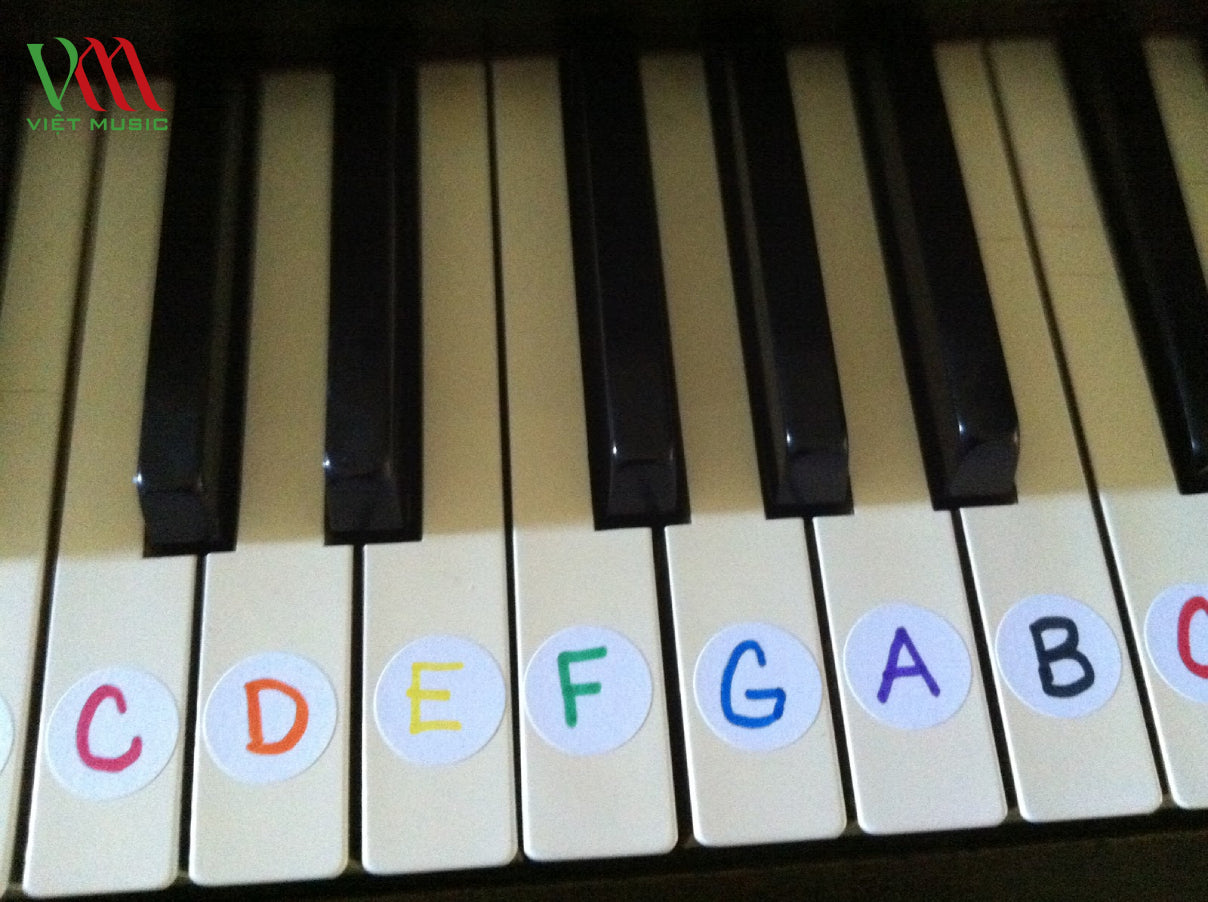 5 Bước Giáo Viên Dạy Học Đàn Piano Cho Người Mới Bắt Đầu