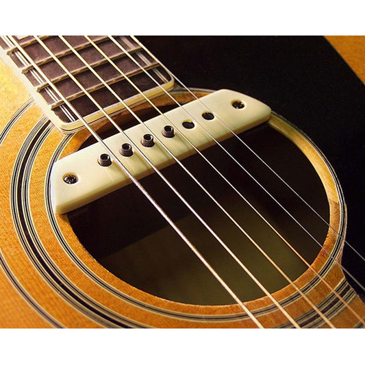 Pickup Guitar Thùng LR Baggs M1 Magnetic Soundhole - Việt Music