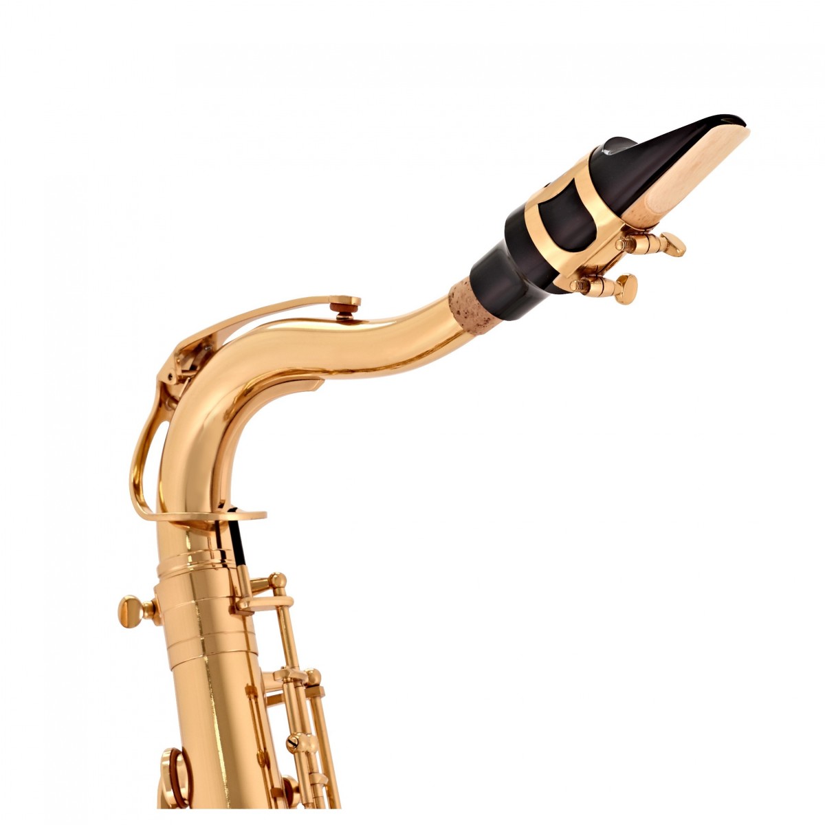 Kèn Saxophone Tenor Conn-Selmer Conn TS650 - Việt Music