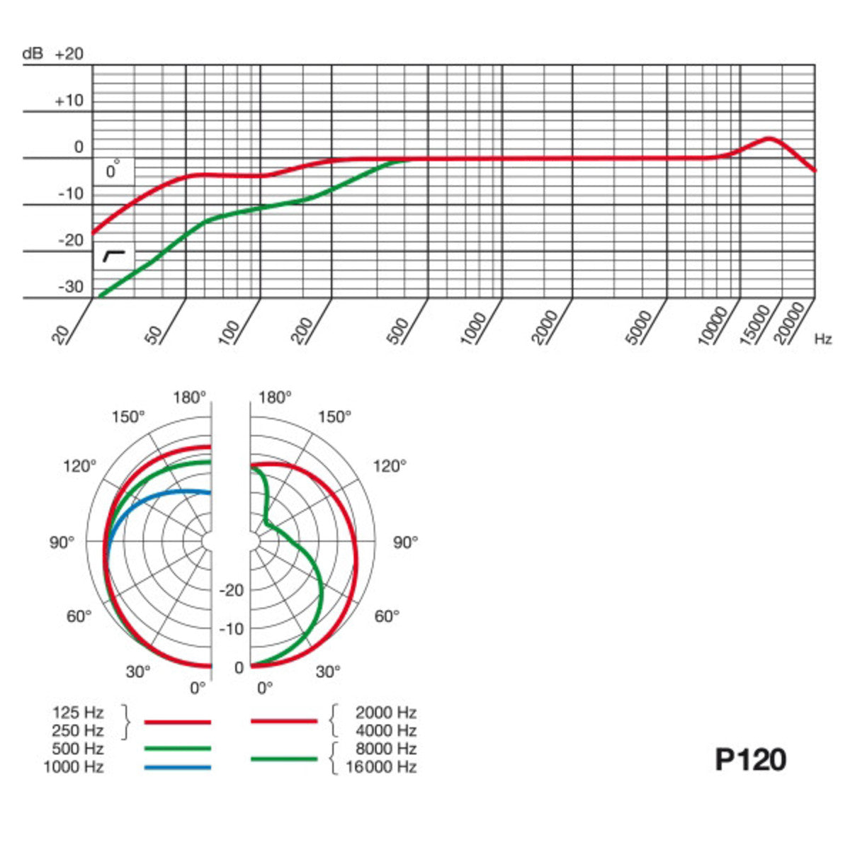 Micro AKG P120 Large-diaphragm Condenser - Việt Music