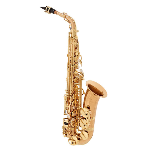 Kèn Saxophone Alto Yanagisawa A-WO20 - Việt Music