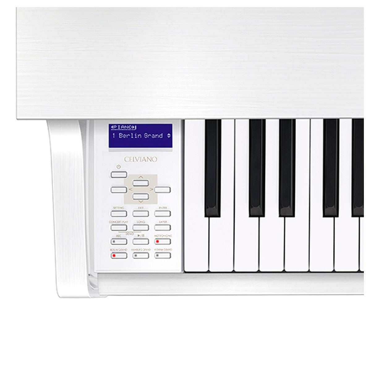 Đàn Piano Hybrid Digital Casio GP310 - Việt Music