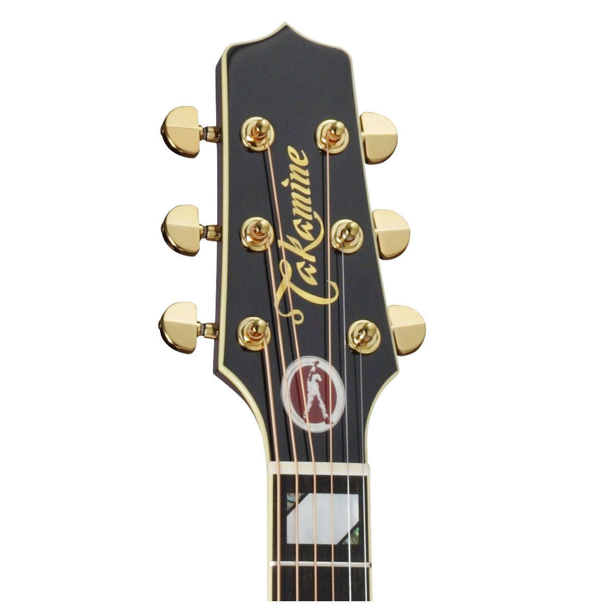 Đàn Guitar Acoustic Takamine EF250TK - Việt Music