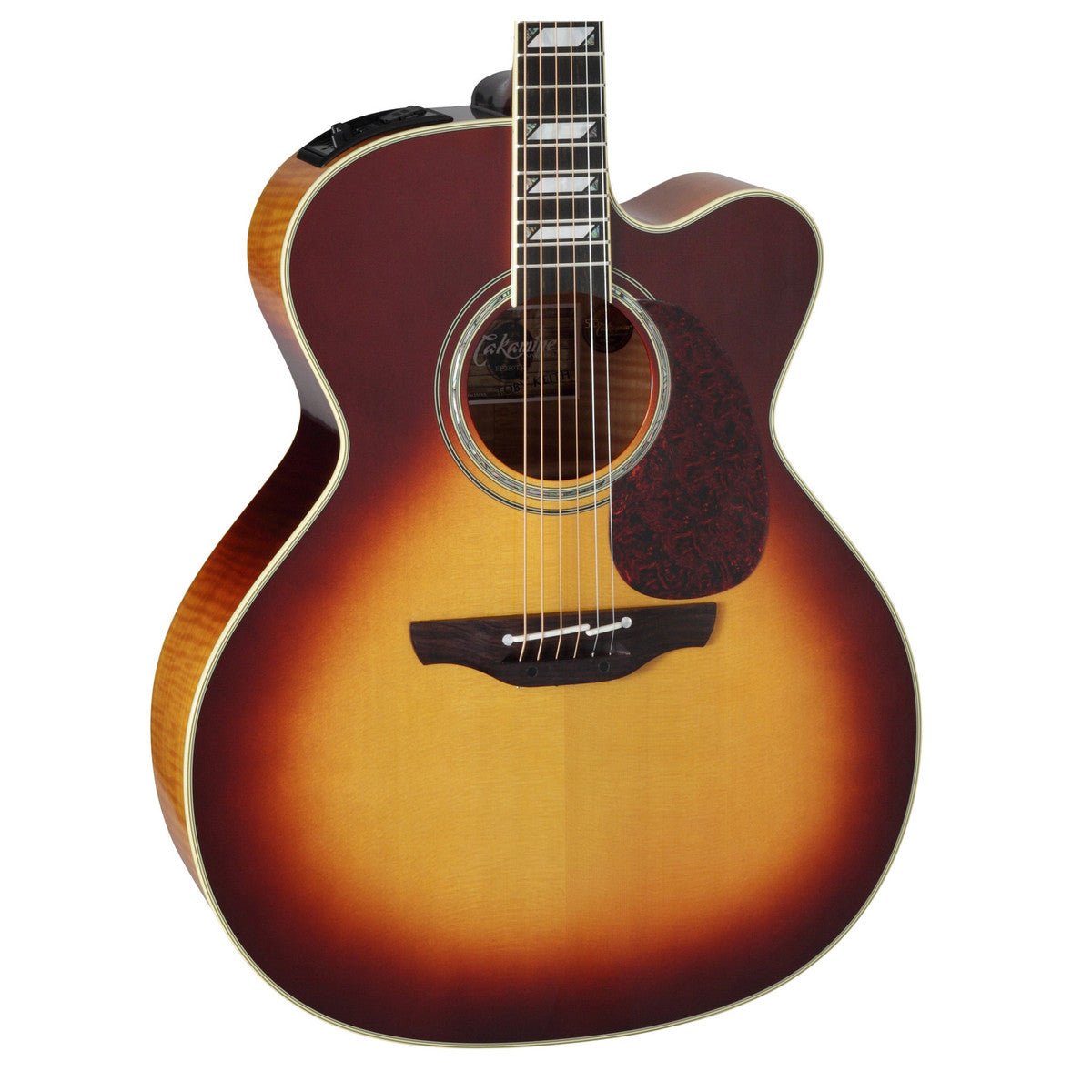 Đàn Guitar Acoustic Takamine EF250TK - Việt Music