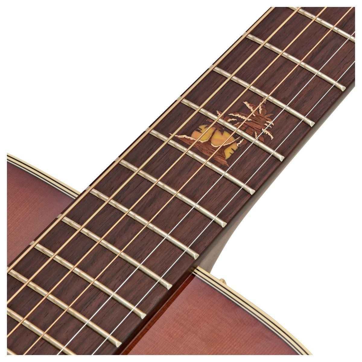 Đàn Guitar Acoustic Takamine TF77-PT - Việt Music