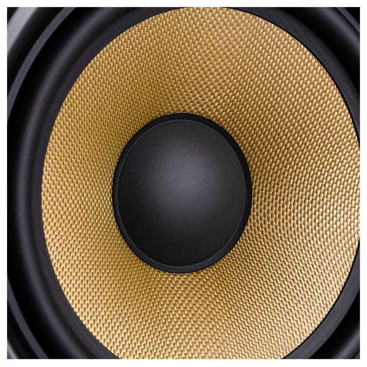 Loa M-Audio Forty Eighty, 100W - Việt Music
