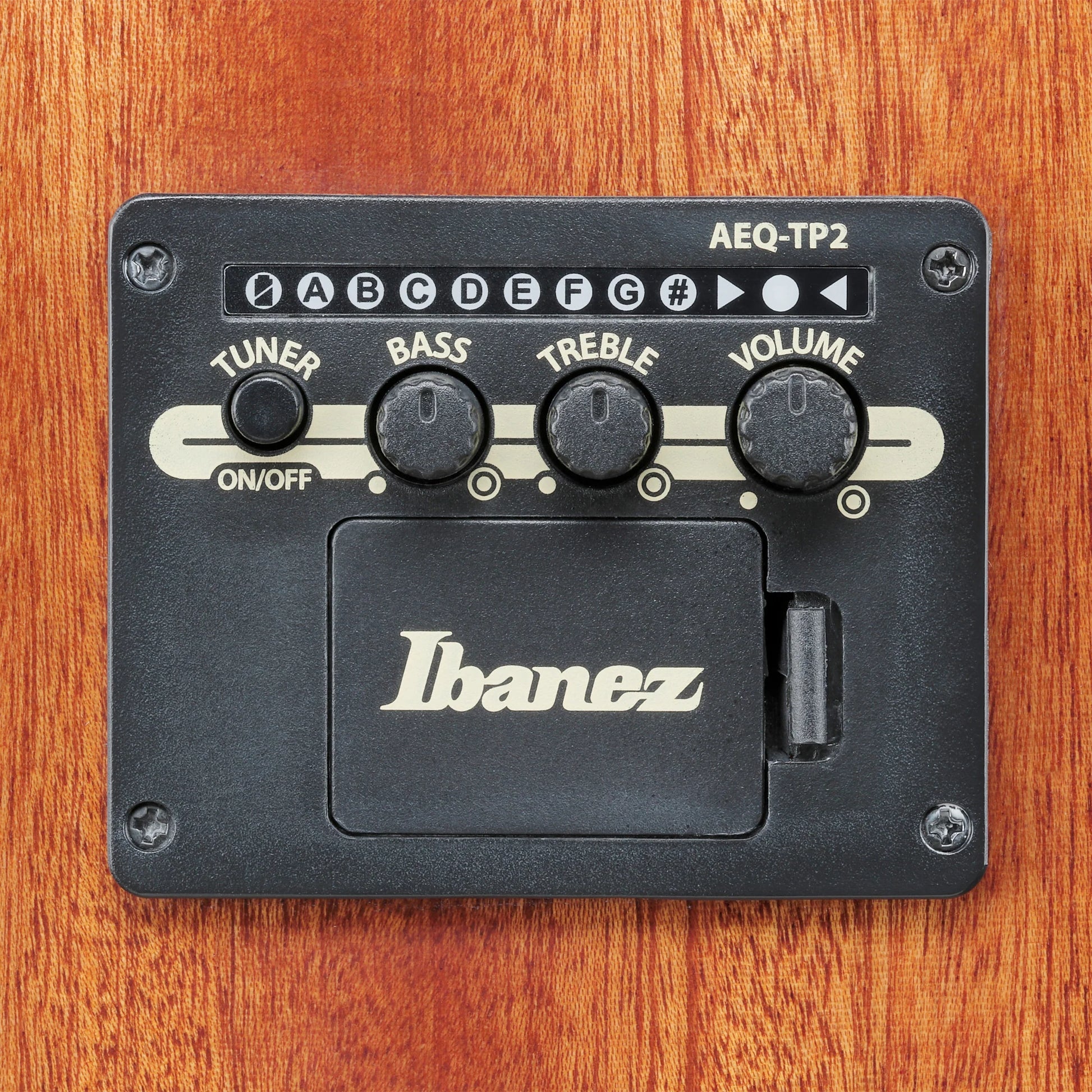 Đàn Guitar Acoustic Ibanez AAD51CE, Purpleheart Fingerboard - Việt Music