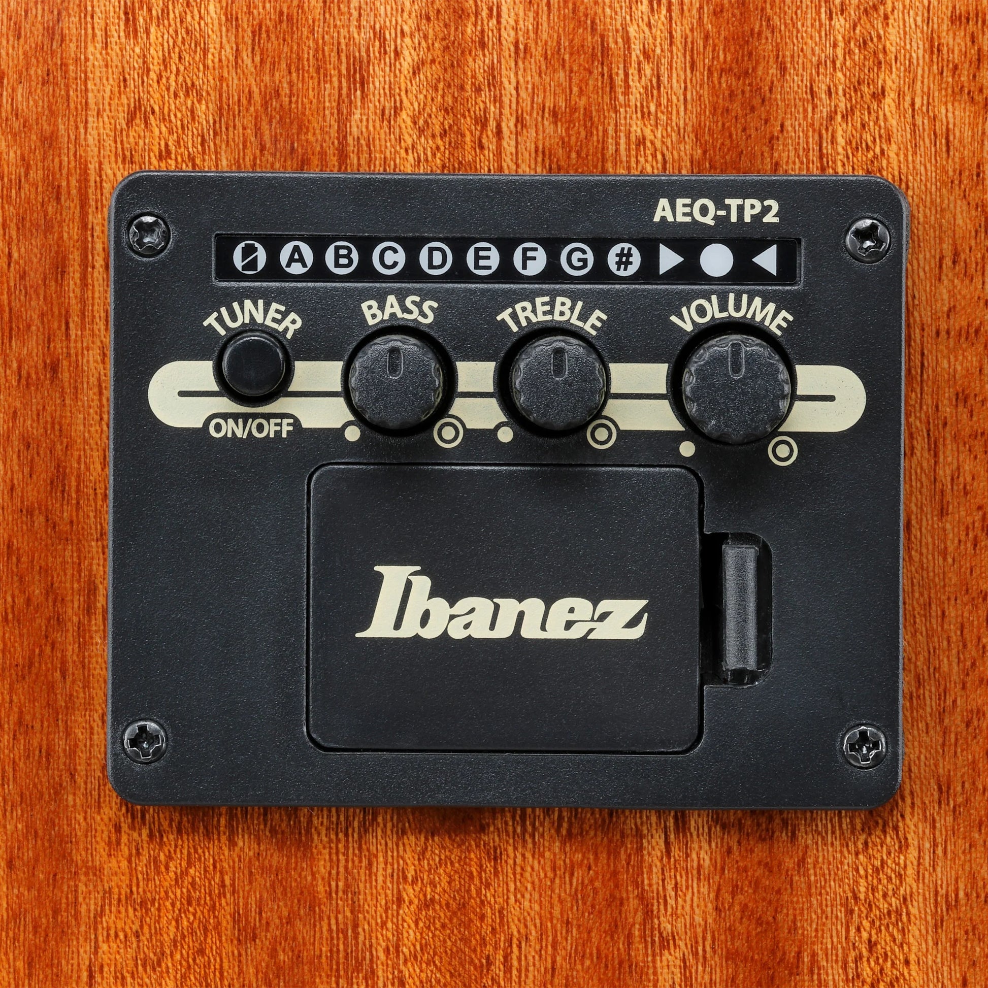 Đàn Guitar Acoustic Ibanez AAD51CE, Purpleheart Fingerboard - Việt Music