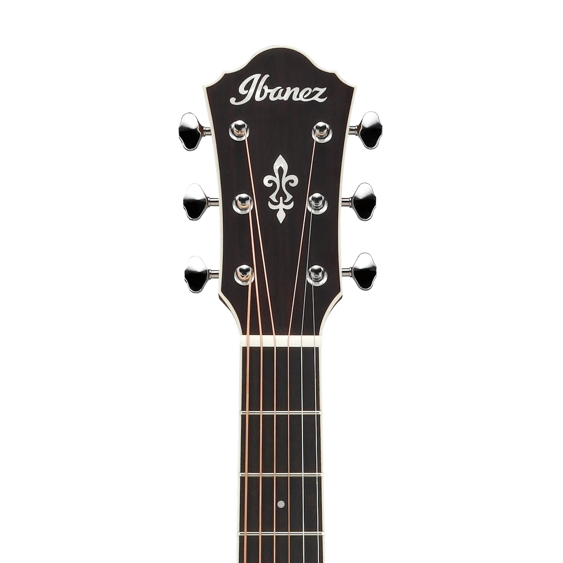 Đàn Guitar Acoustic Ibanez AE240JR - Việt Music