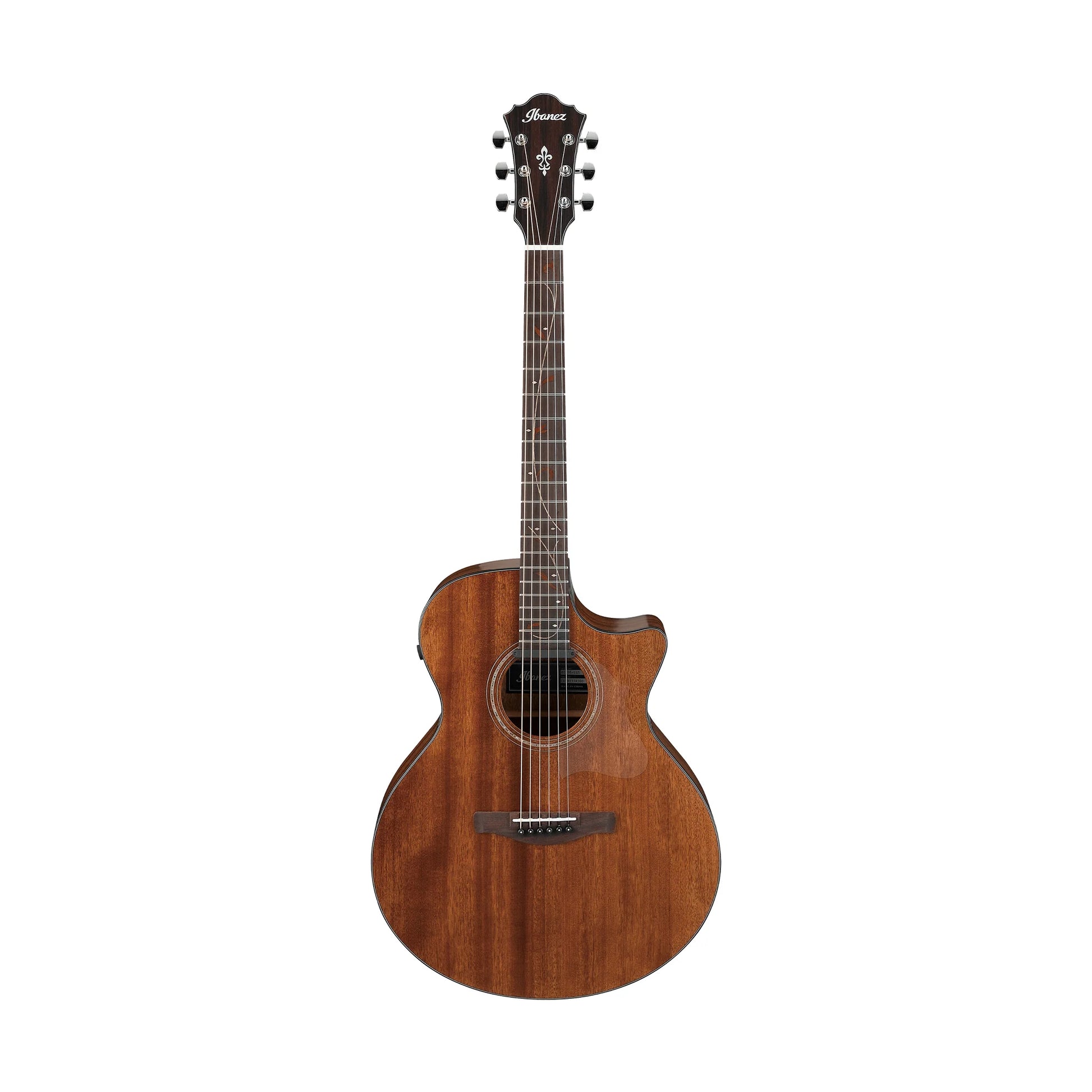 Đàn Guitar Acoustic Ibanez AE295 - Việt Music