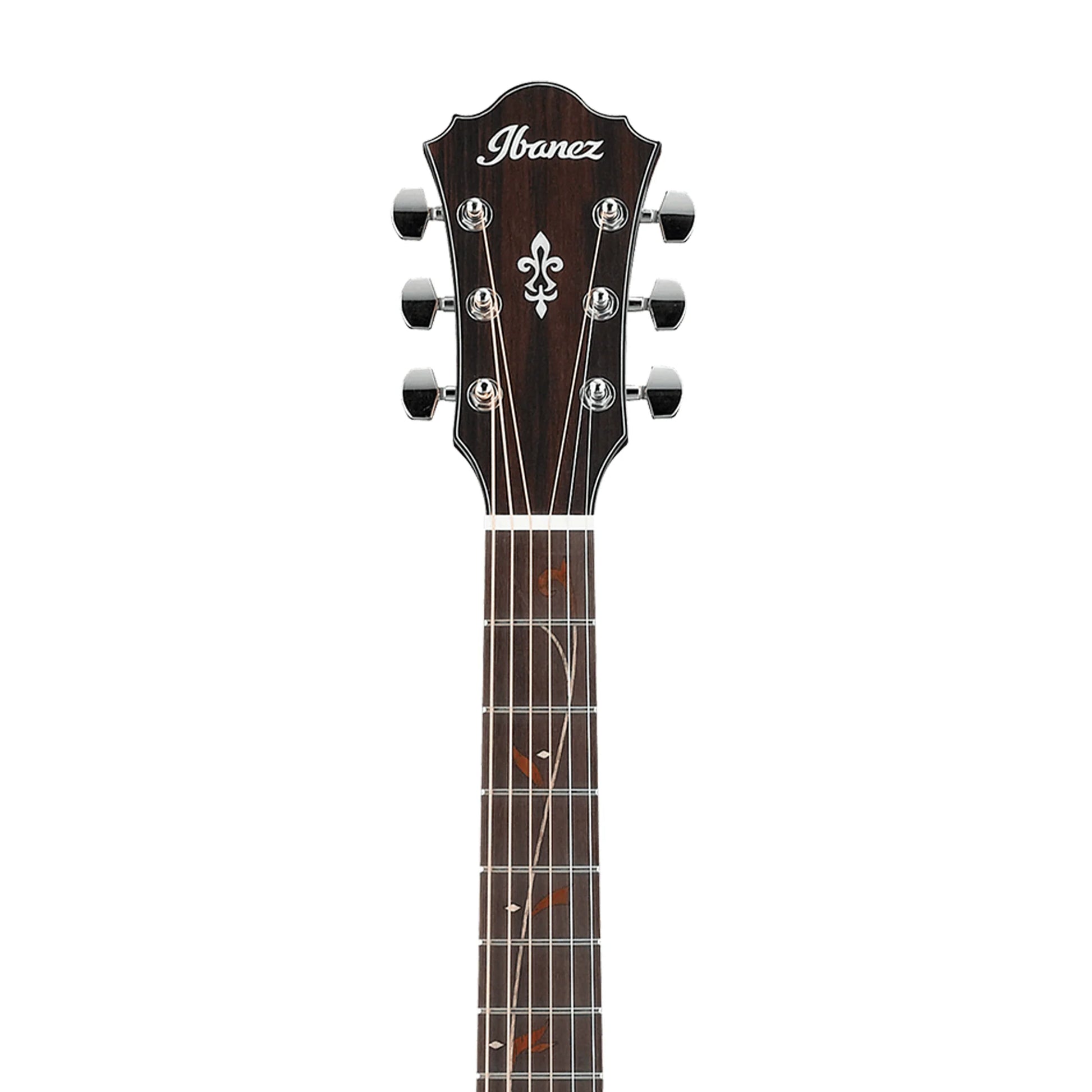 Đàn Guitar Acoustic Ibanez AE295 - Việt Music
