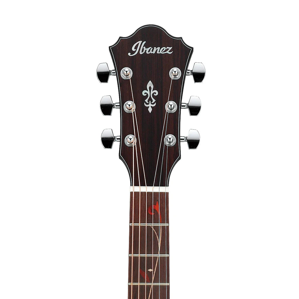 Đàn Guitar Acoustic Ibanez AE295 - Việt Music