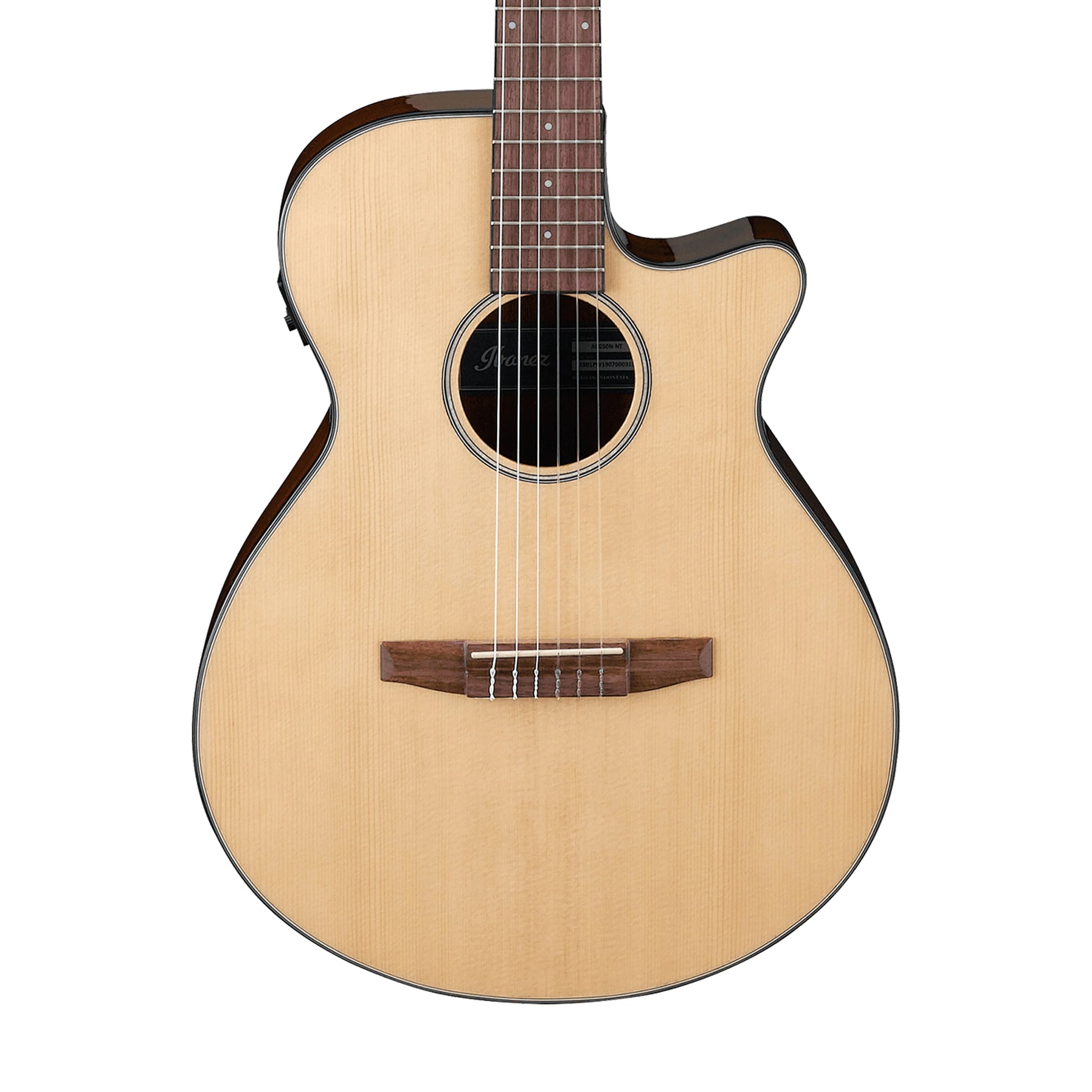 Đàn Guitar Classic Ibanez AEG50N - Việt Music