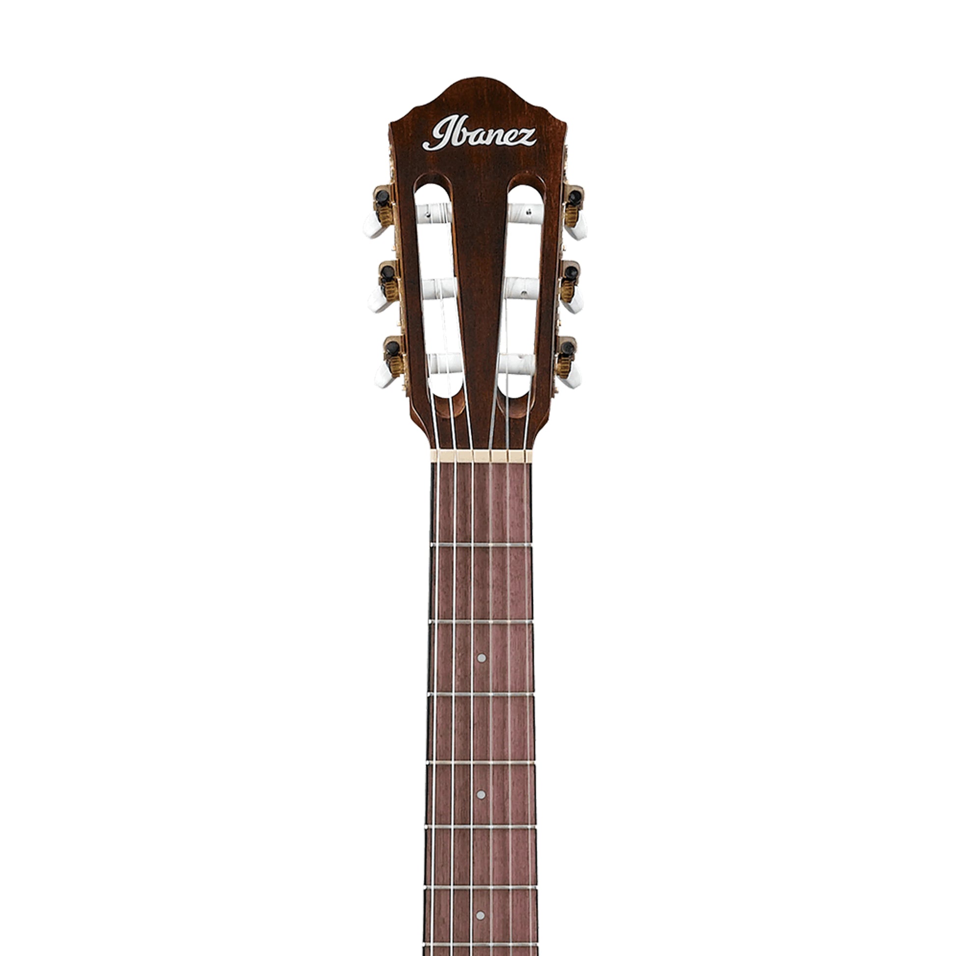 Đàn Guitar Classic Ibanez AEG50N - Việt Music