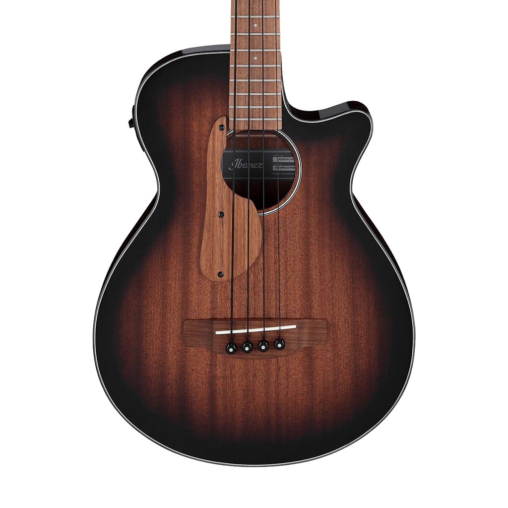 Đàn Guitar Bass Acoustic Ibanez AEGB24E - 4 Strings - Việt Music