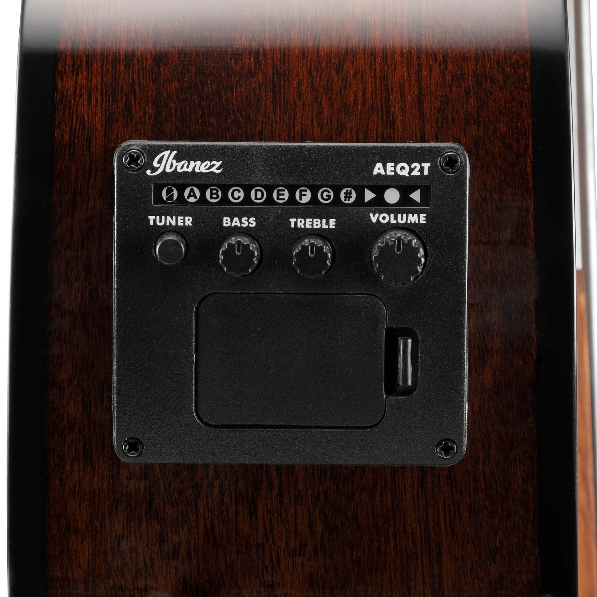 Đàn Guitar Bass Acoustic Ibanez AEGB24FE - 4 Strings - Việt Music