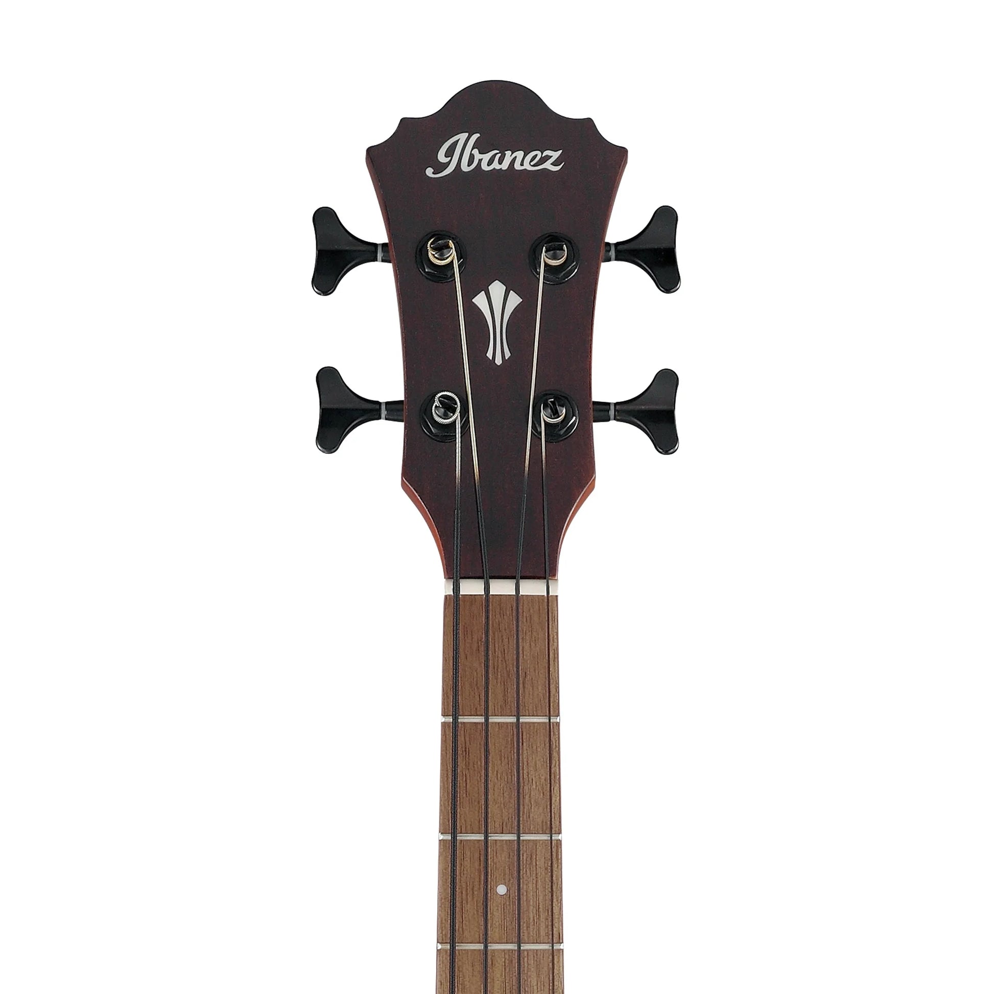 Đàn Guitar Bass Acoustic Ibanez AEGB30E - 4 String - Việt Music