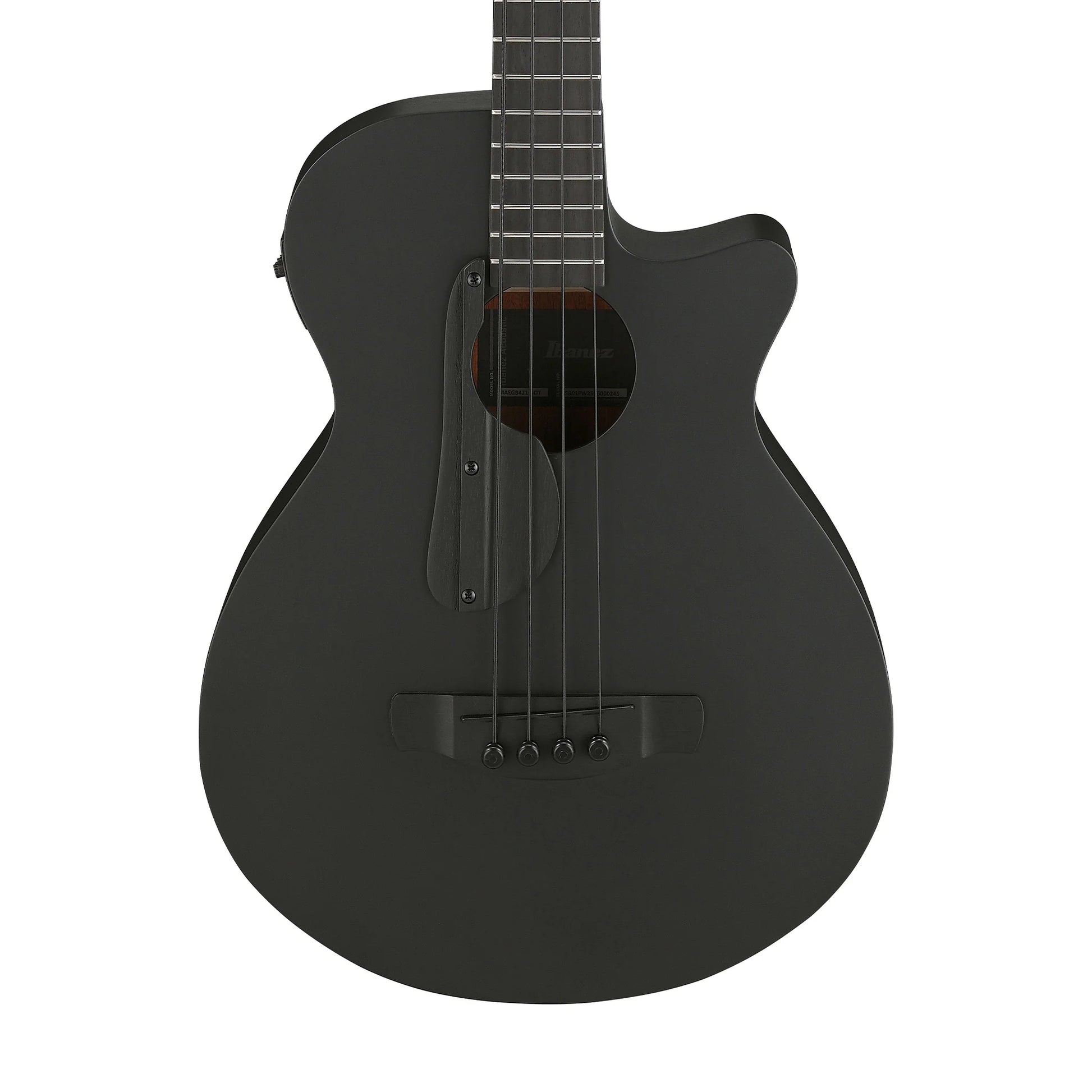 Đàn Guitar Bass Acoustic Ibanez AEGB420 - 4 Strings – Việt Music
