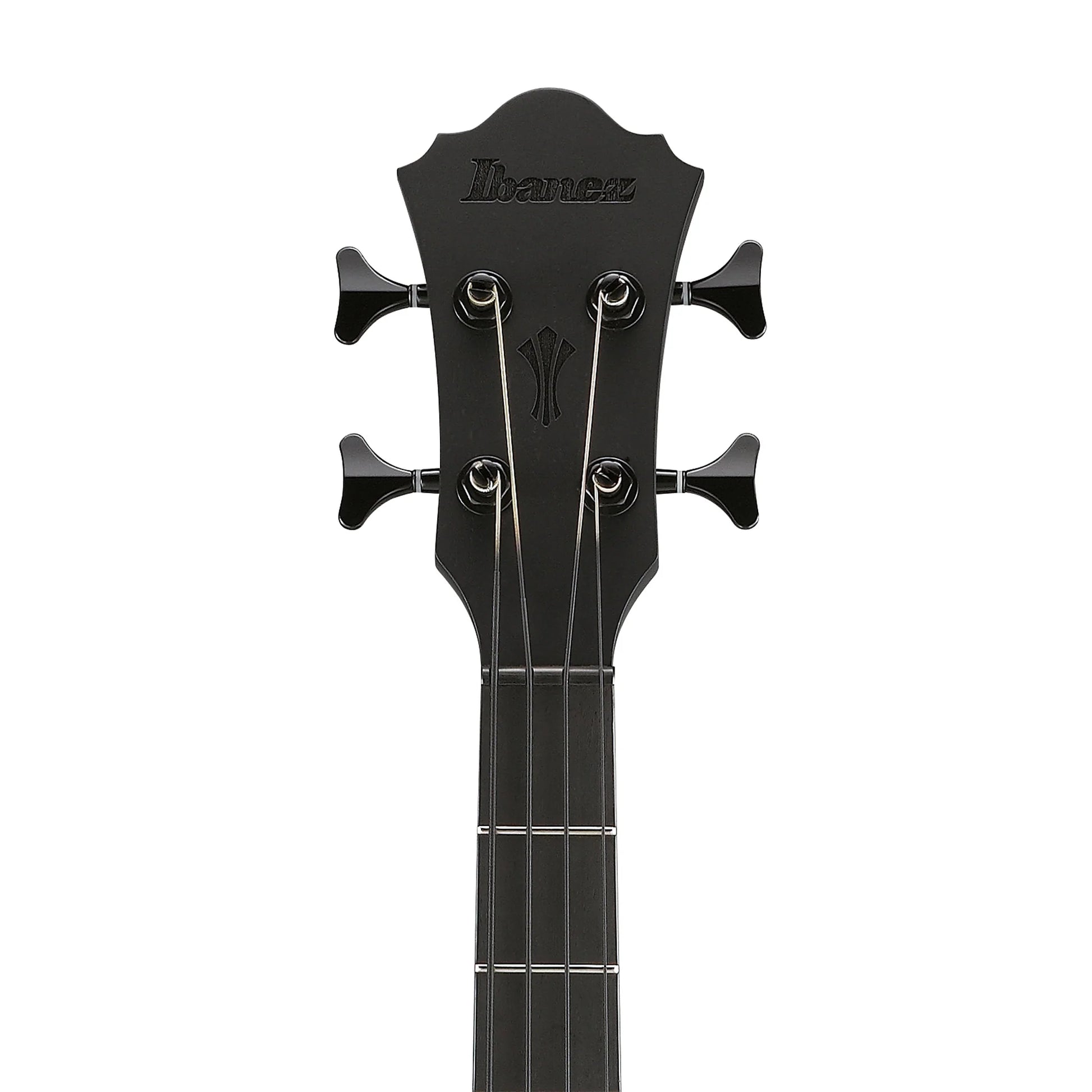 Đàn Guitar Bass Acoustic Ibanez AEGB420 - 4 Strings – Việt Music