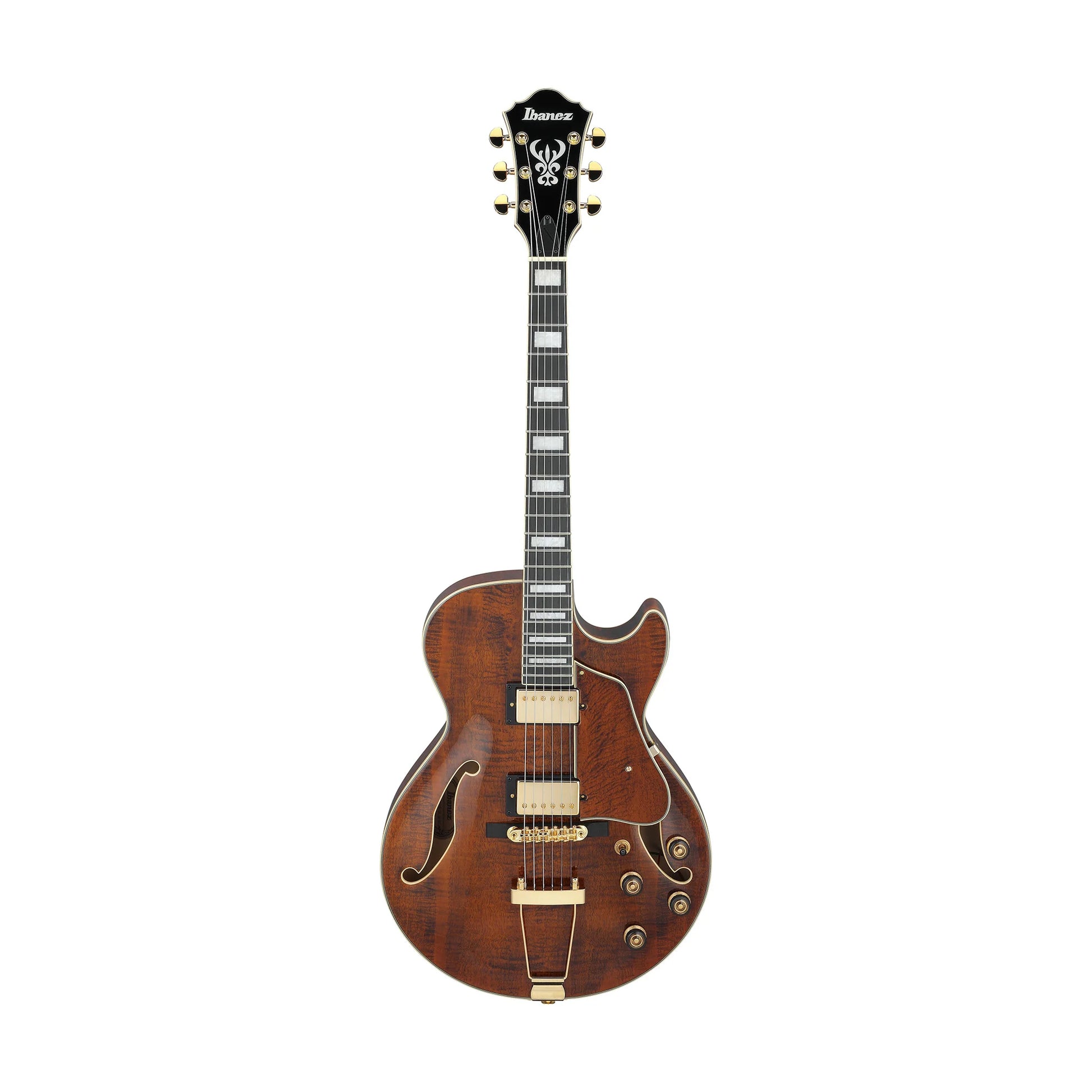 Đàn Guitar Điện Ibanez AG95MG HH, Ebony Fingerboard - Việt Music