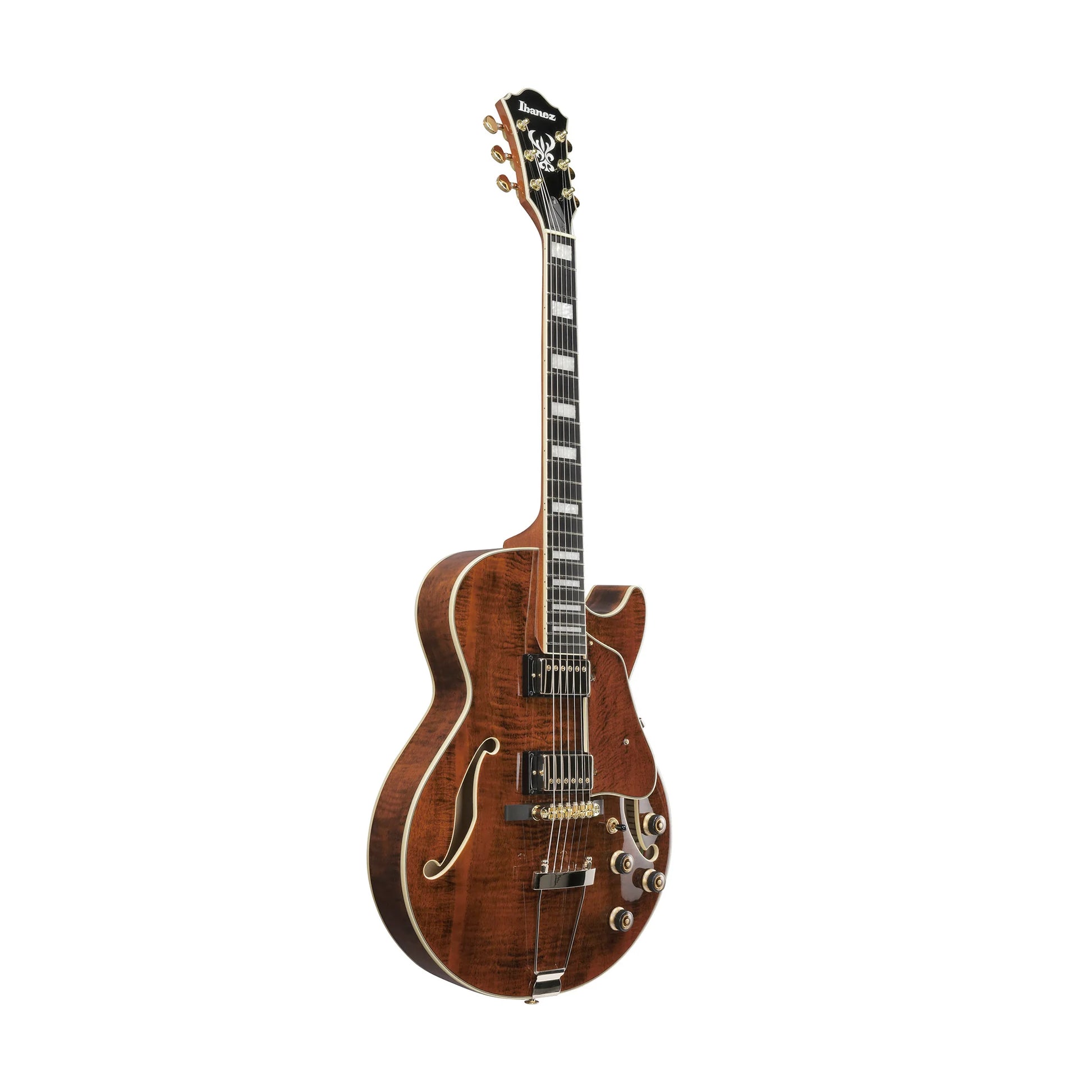 Đàn Guitar Điện Ibanez AG95MG HH, Ebony Fingerboard - Việt Music