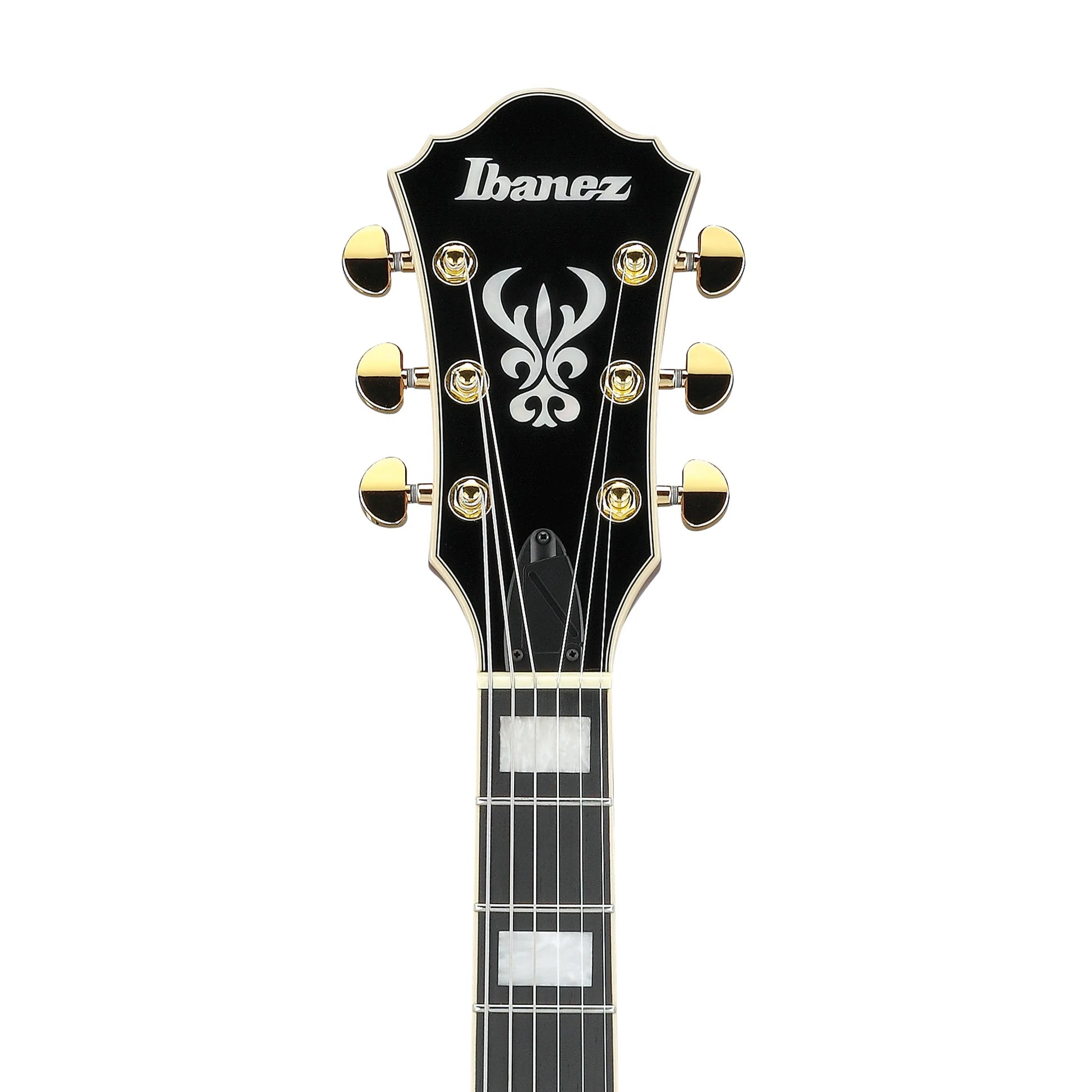 Đàn Guitar Điện Ibanez AG95MG HH, Ebony Fingerboard - Việt Music