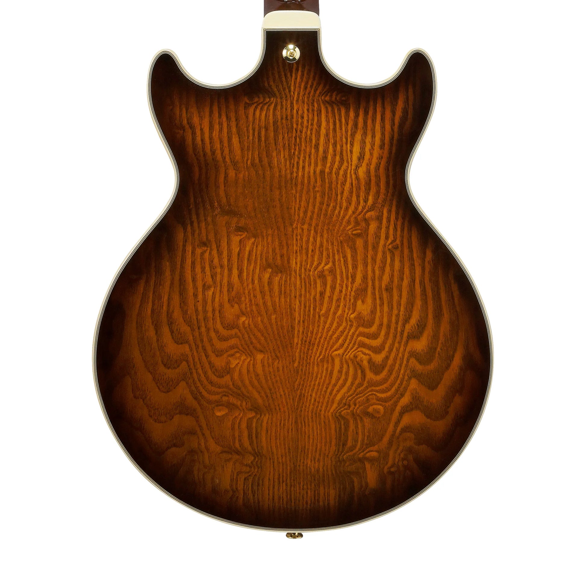 Đàn Guitar Điện Ibanez AM93QA HH, Ebony Fingerboard - Việt Music