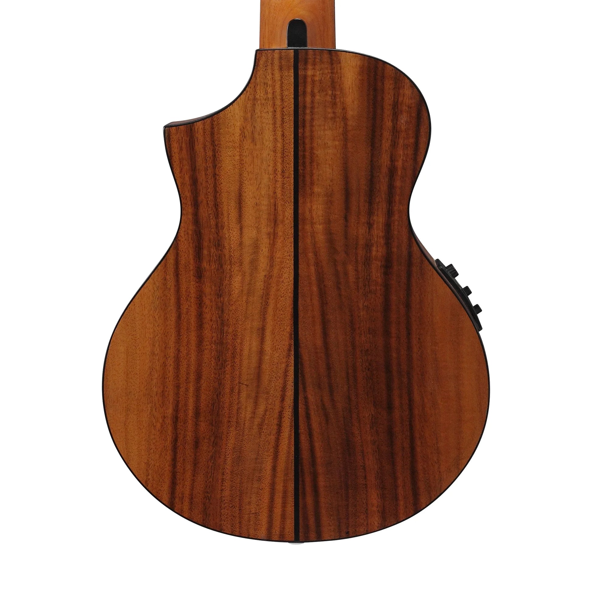 Đàn Guitar Acoustic Ibanez EWP12EWB - Việt Music