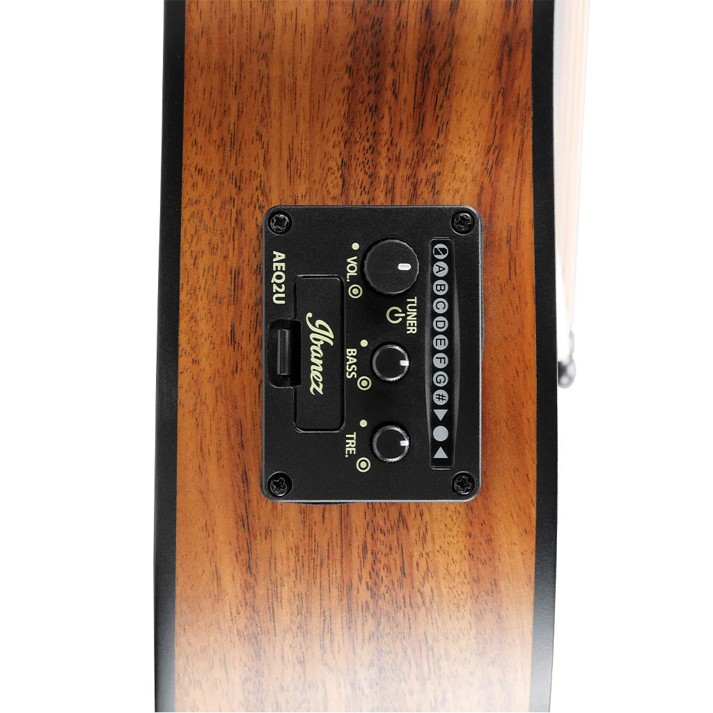 Đàn Guitar Acoustic Ibanez EWP12EWB - Việt Music