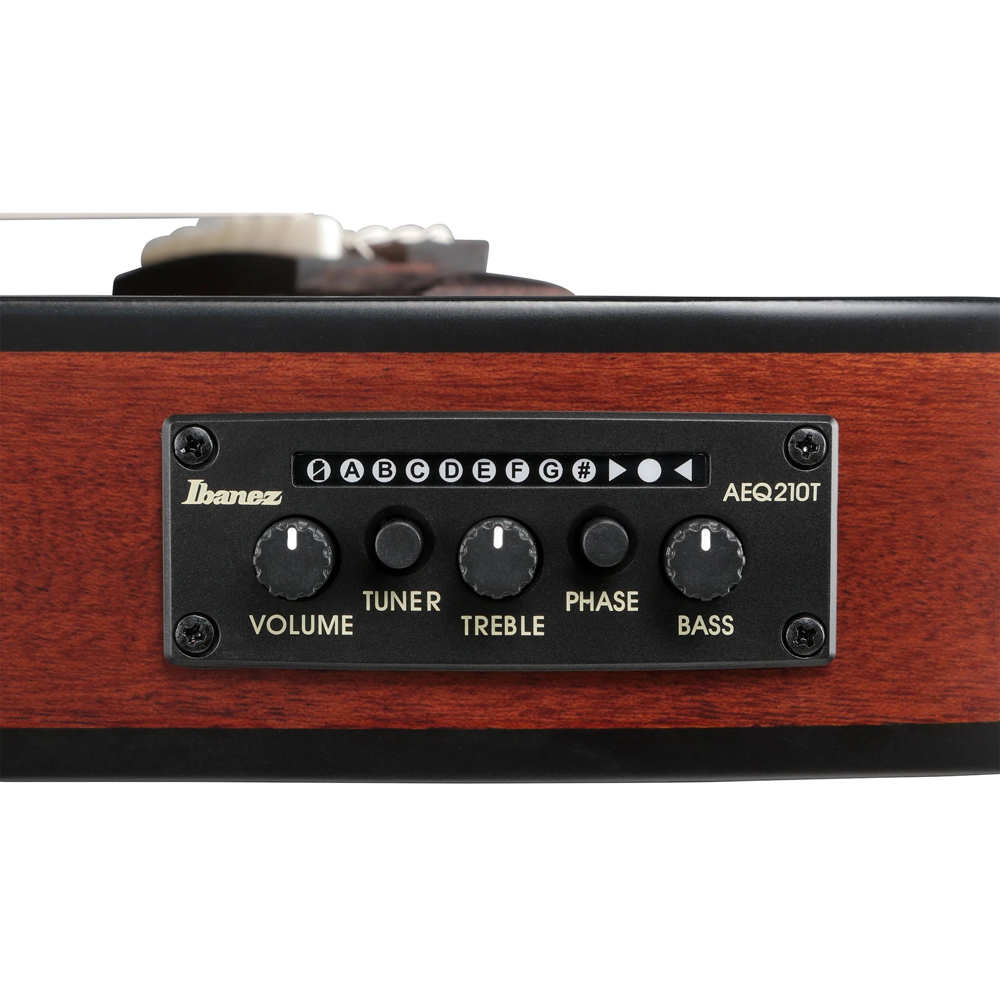 Đàn Guitar Classic Ibanez FRH20SMN - Việt Music