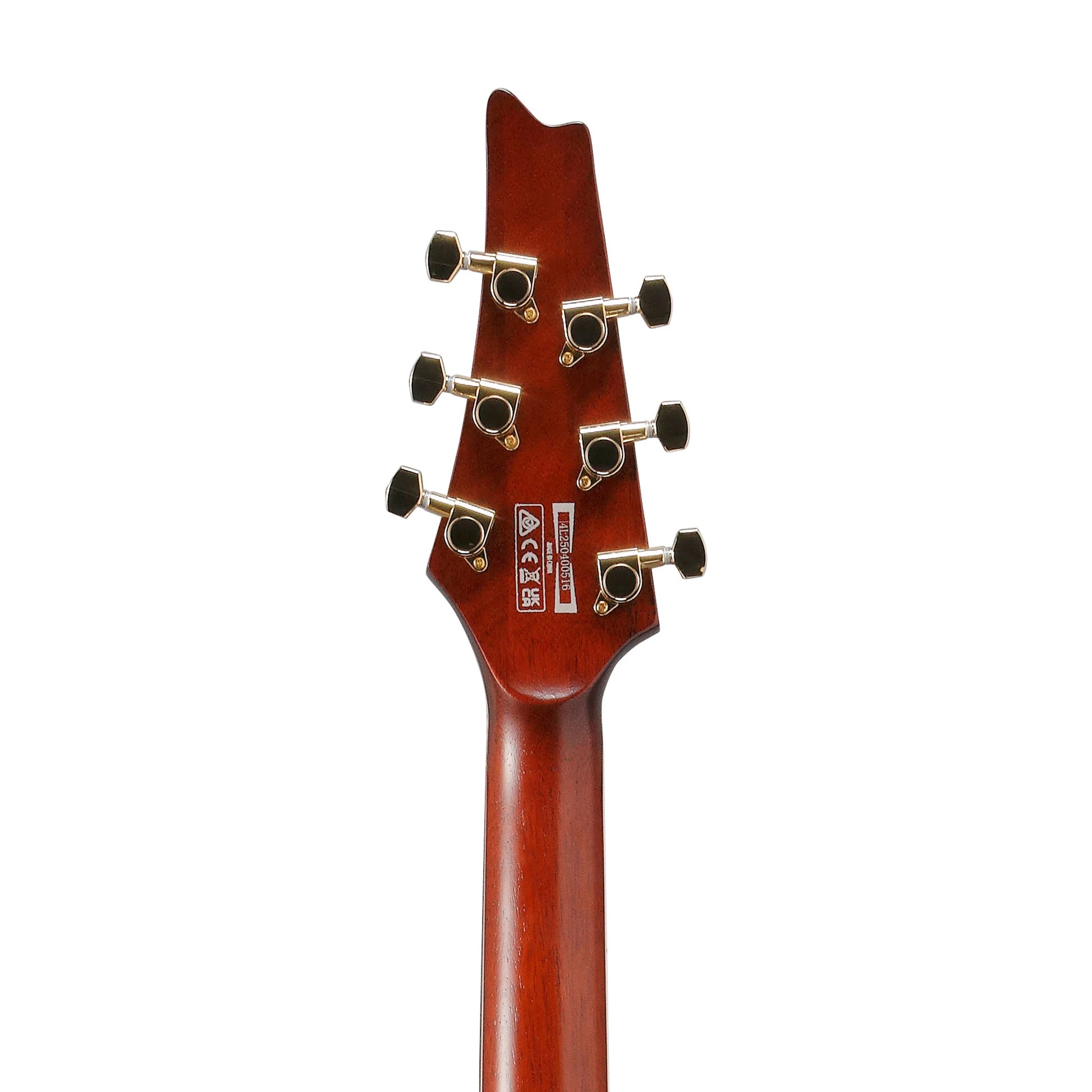 Đàn Guitar Điện Ibanez IC420MFM HH, Maple Fingerboard - Việt Music