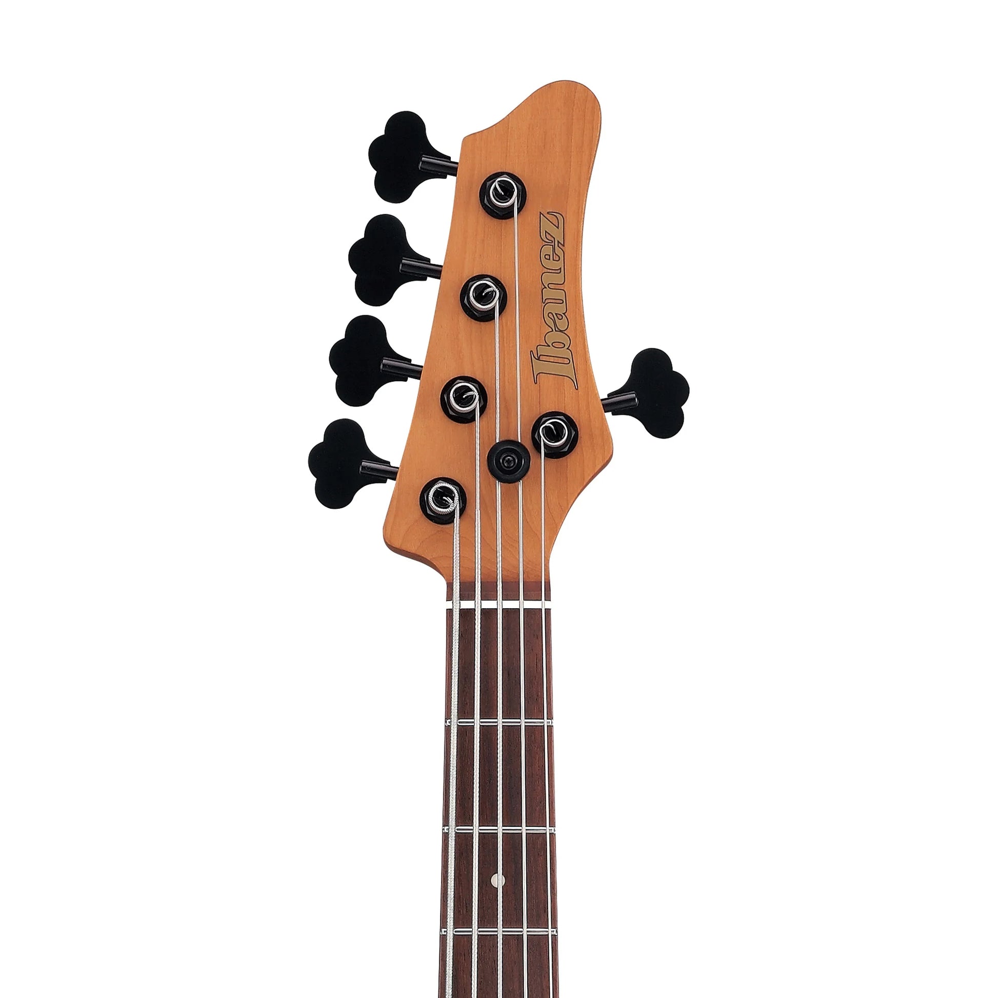 Đàn Guitar Bass Ibanez MDM1605 SS, Rosewood Fingerboard - 5 Strings - Việt Music
