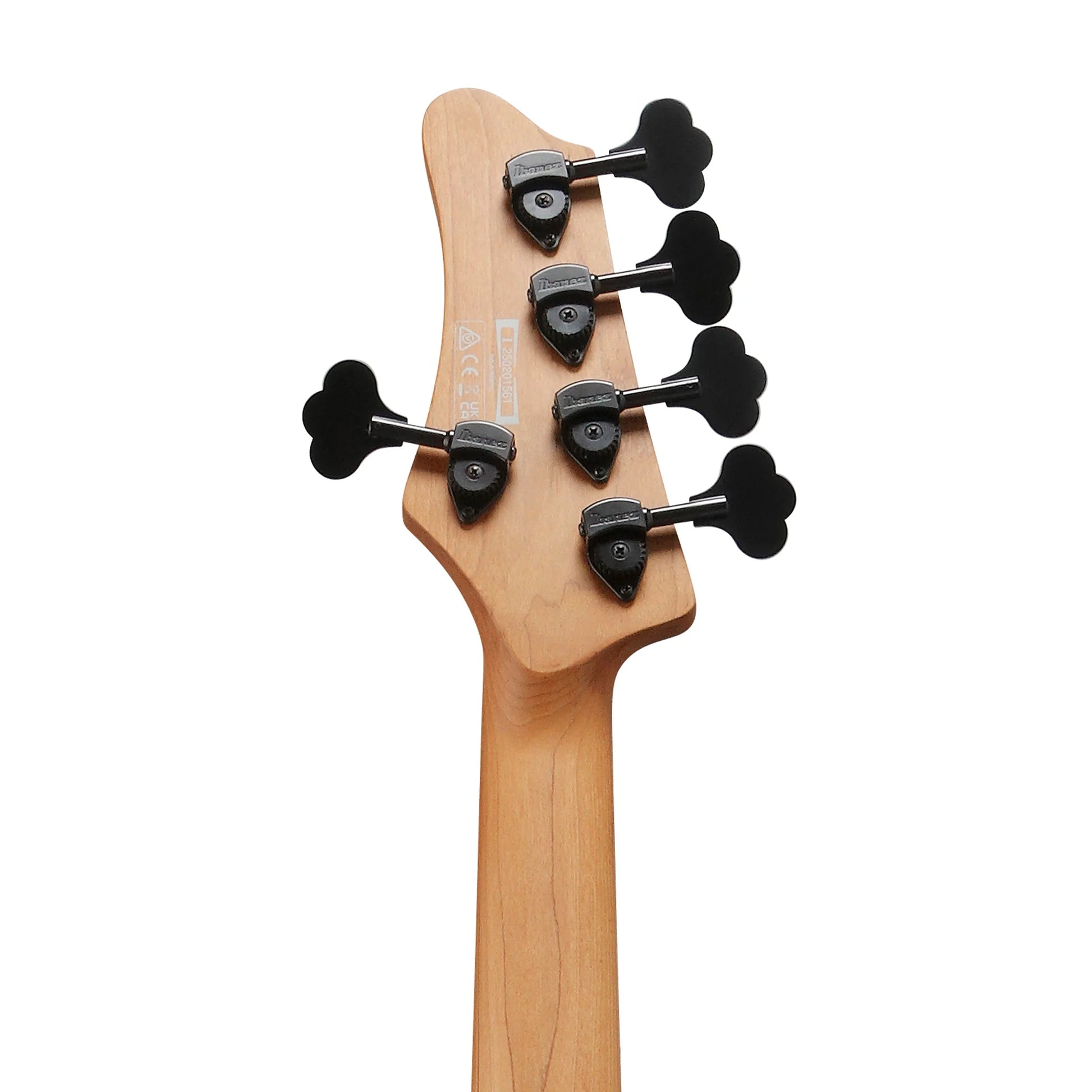Đàn Guitar Bass Ibanez MDM1605 SS, Rosewood Fingerboard - 5 Strings - Việt Music
