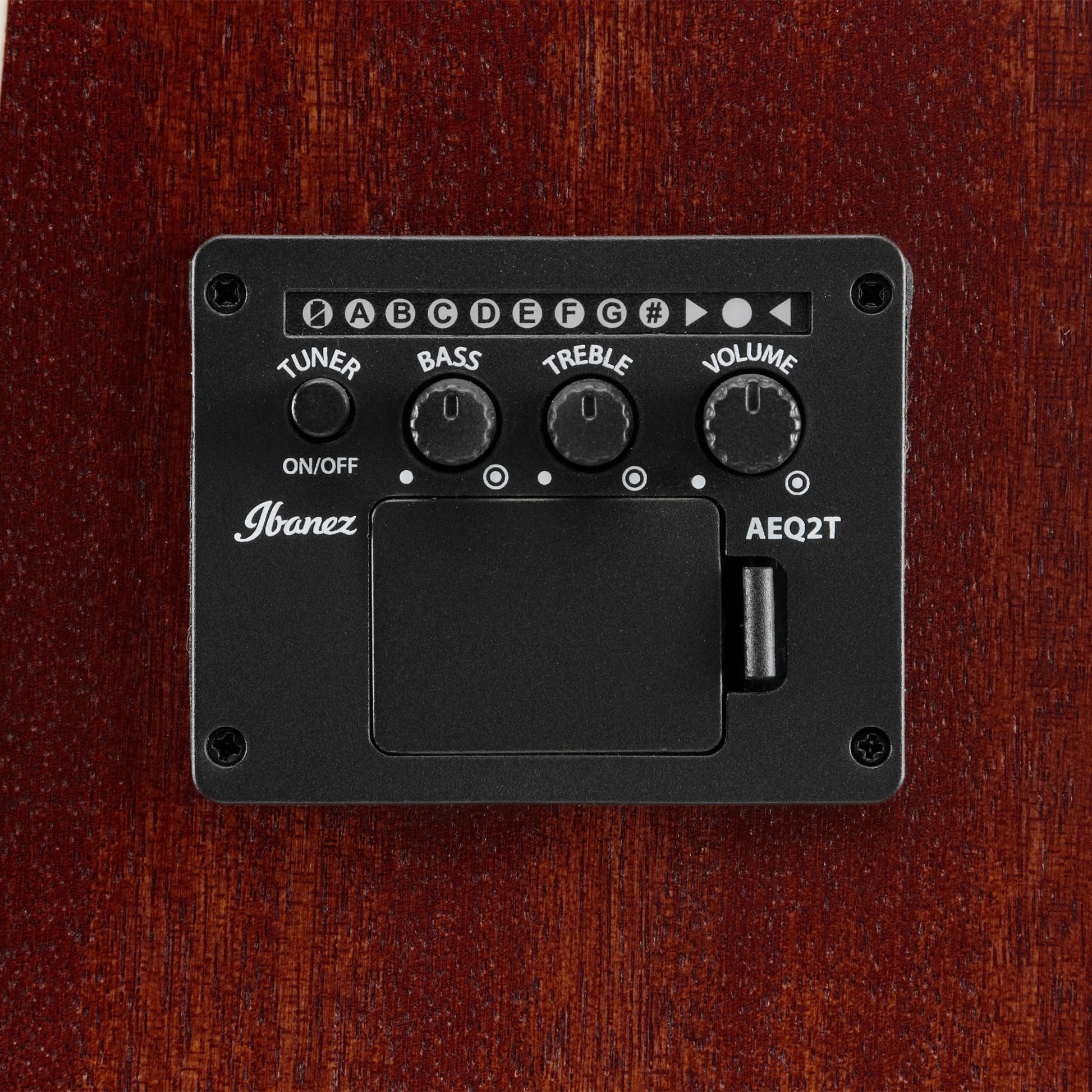 Đàn Guitar Acoustic Ibanez PF16MWCE - Việt Music