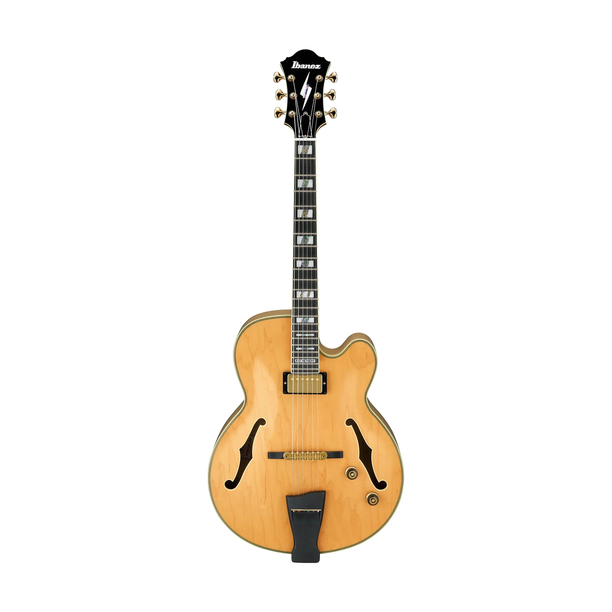 Đàn Guitar Điện Ibanez PM200 Pat Metheny Signature - Việt Music