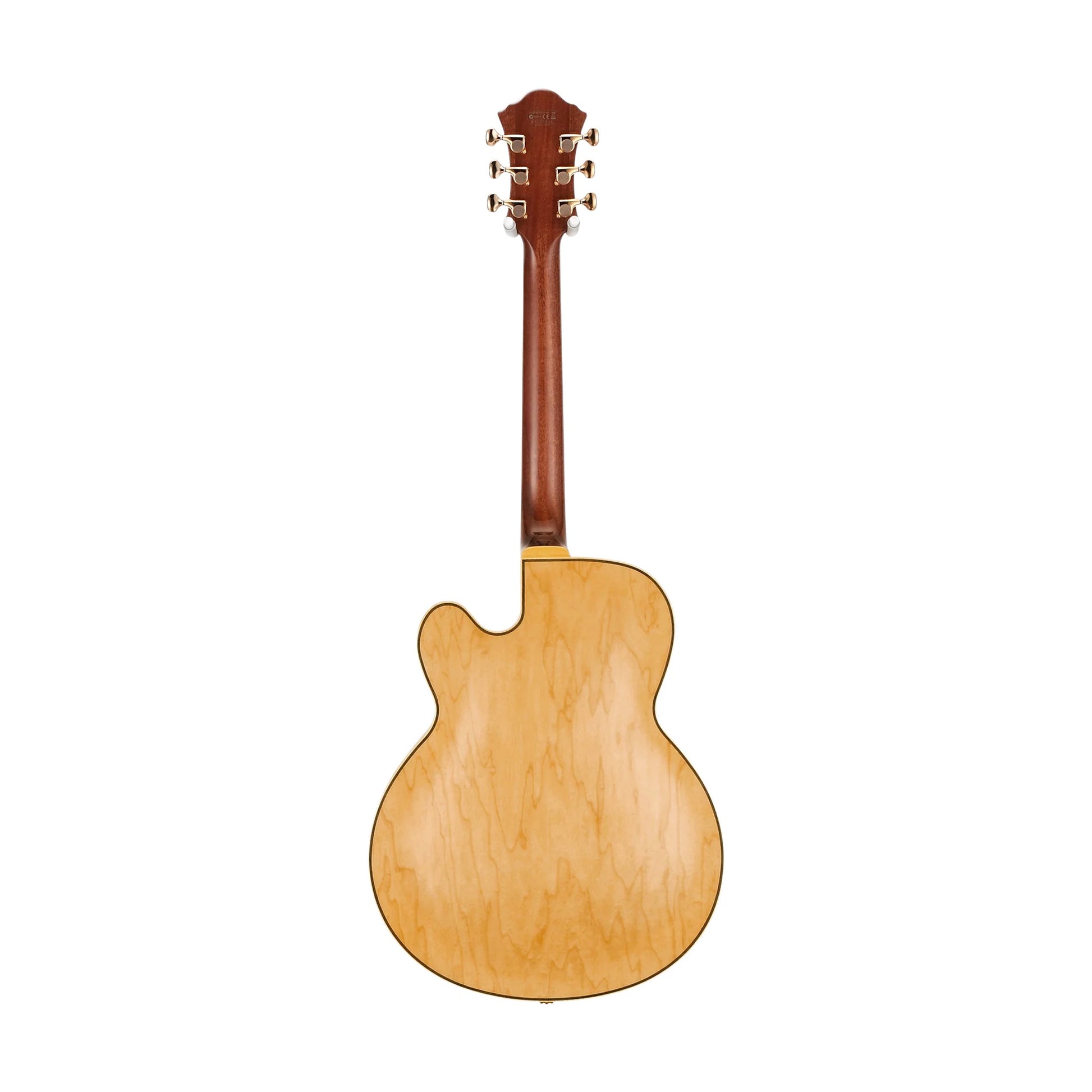 Đàn Guitar Điện Ibanez PM200 Pat Metheny Signature - Việt Music