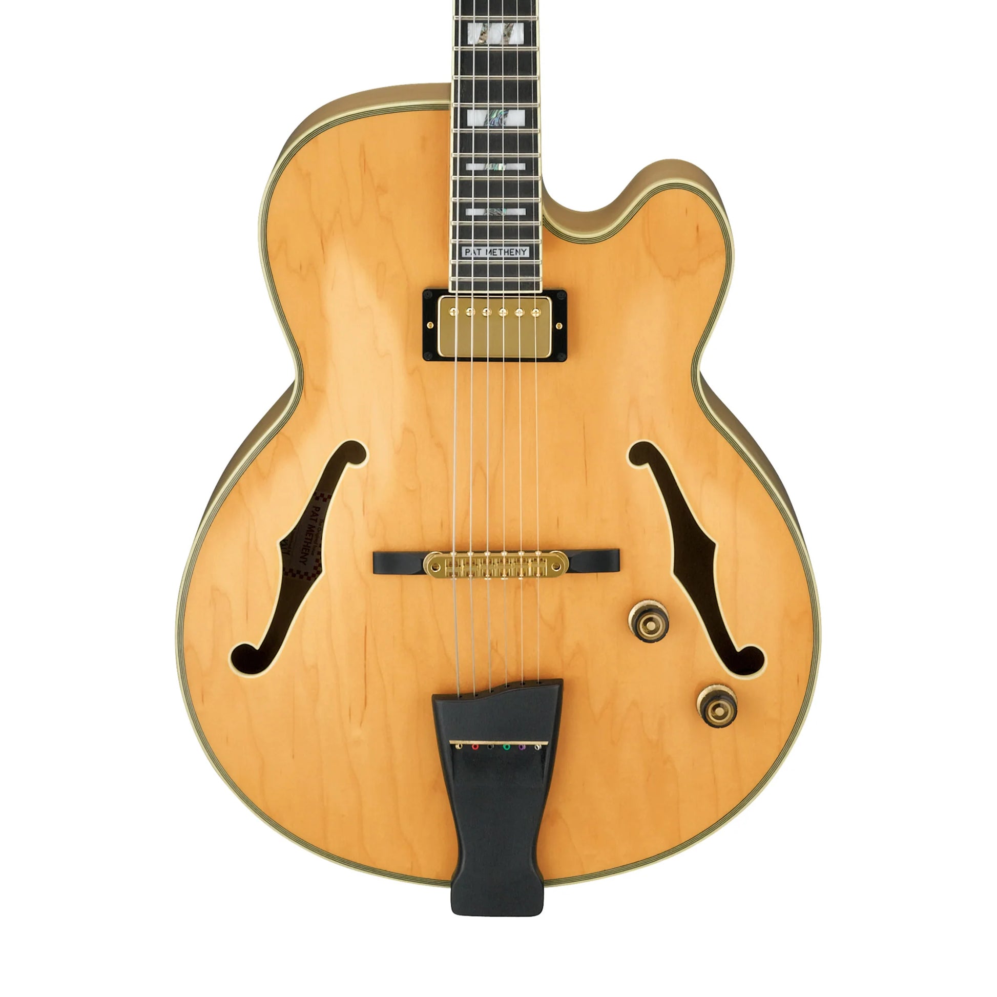 Đàn Guitar Điện Ibanez PM200 Pat Metheny Signature - Việt Music