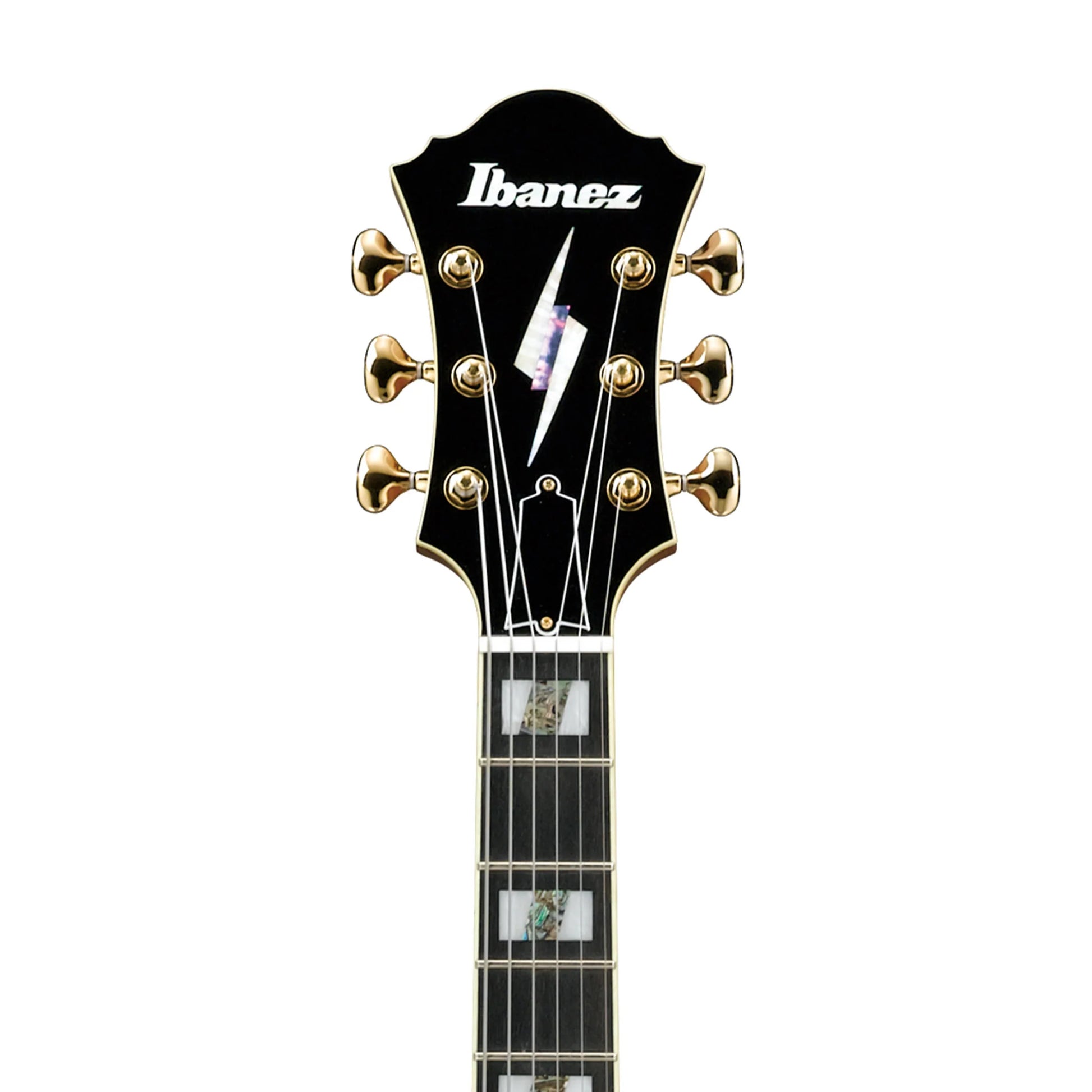 Đàn Guitar Điện Ibanez PM200 Pat Metheny Signature - Việt Music