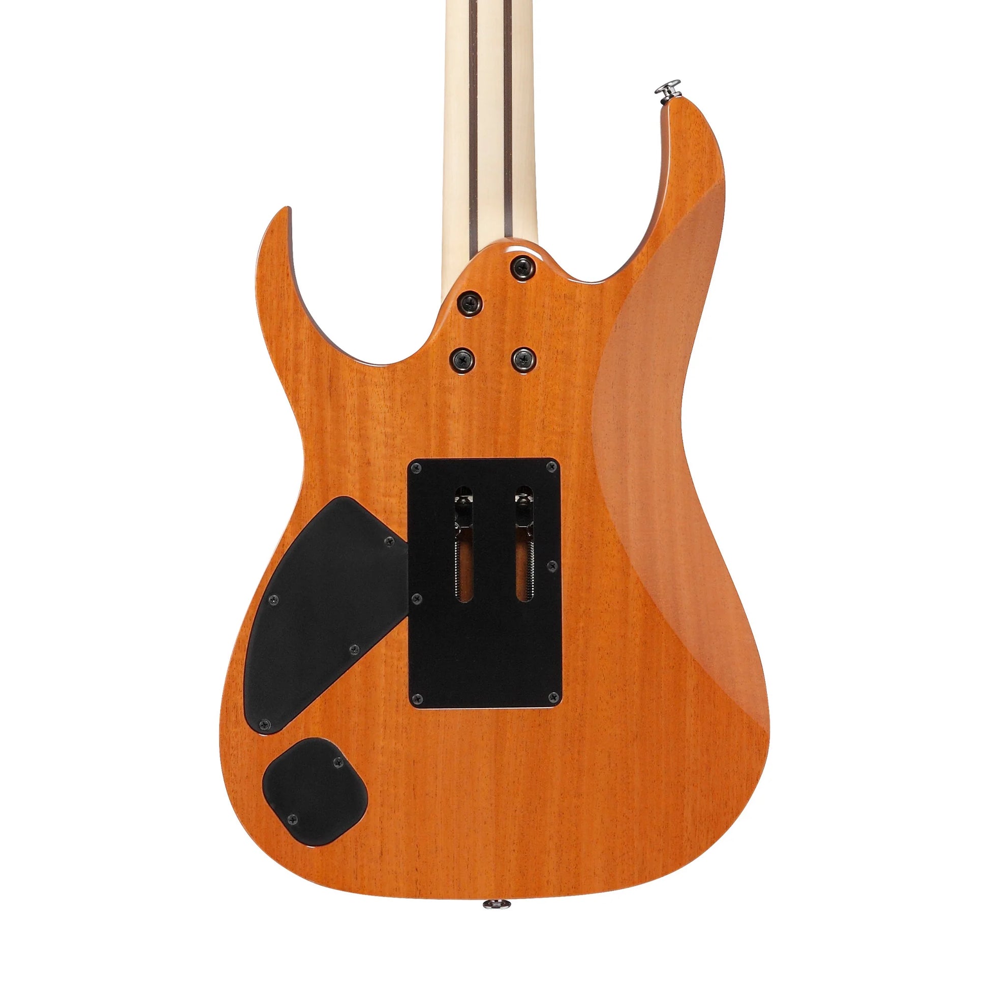 Đàn Guitar Điện Ibanez RG5320C - RG Prestige HH, Ebony Fingerboard - Việt Music