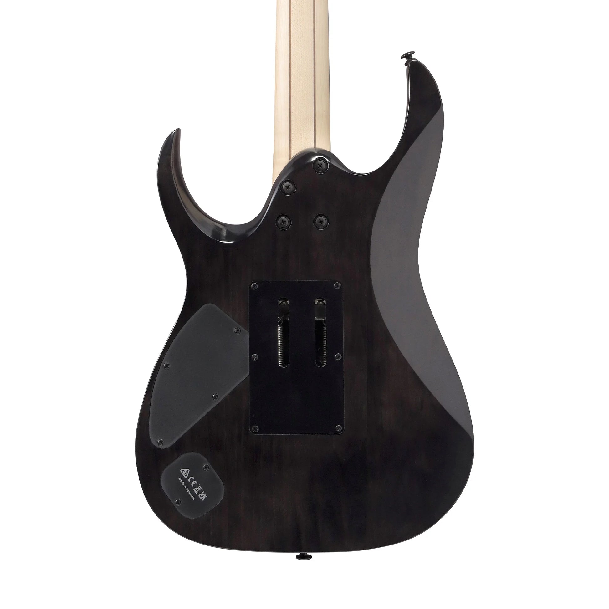 Đàn Guitar Điện Ibanez RGA20P1PB HH, Ebony Fingerboard, Cosmic Blue Burst Low Gloss - Việt Music