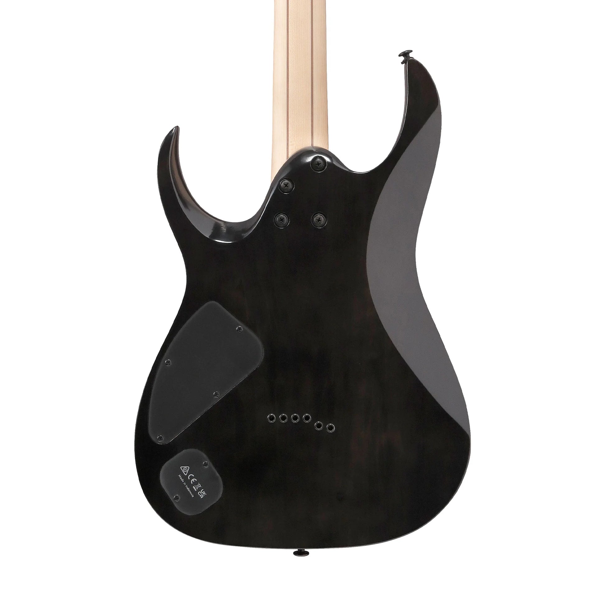 Đàn Guitar Điện Ibanez RGA21P1PB HH, Ebony Fingerboard, Deep Twilight Burst Low Gloss - Việt Music