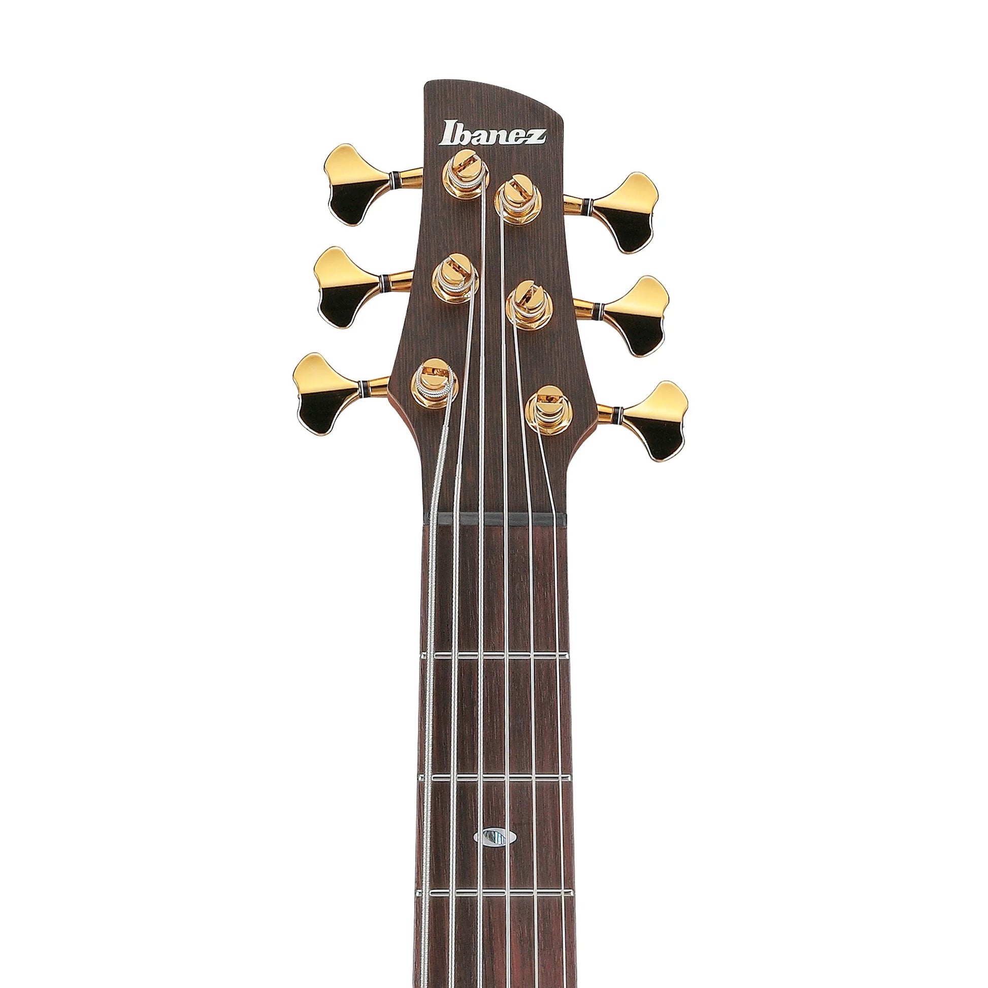 Đàn Guitar Bass Ibanez SR3506 SS, Rosewood Fingerboard - 6 Strings ...