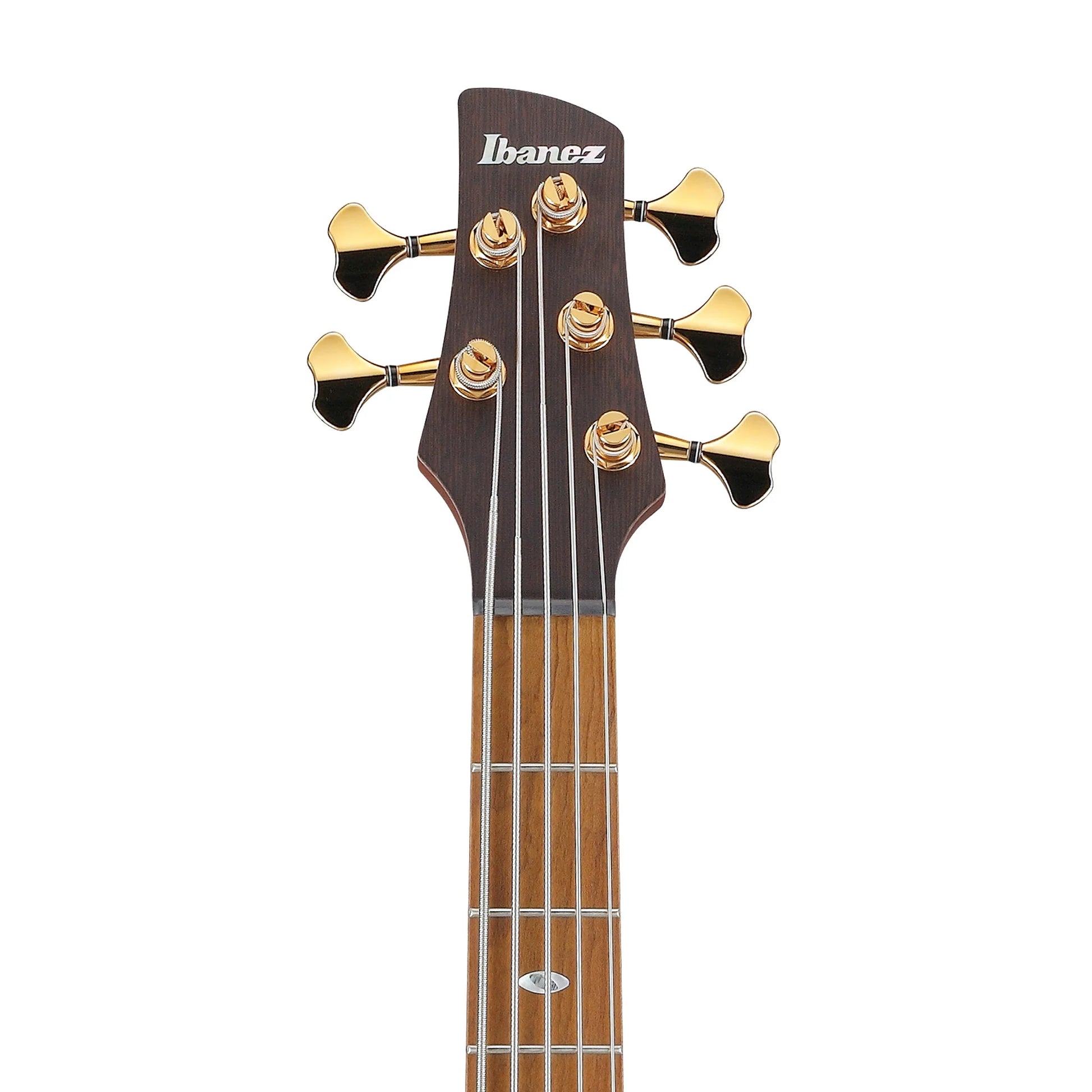 Đàn Guitar Bass Ibanez SR4505, Maple Fingerboard, Desert Sunset Burst - 5 Strings - Việt Music