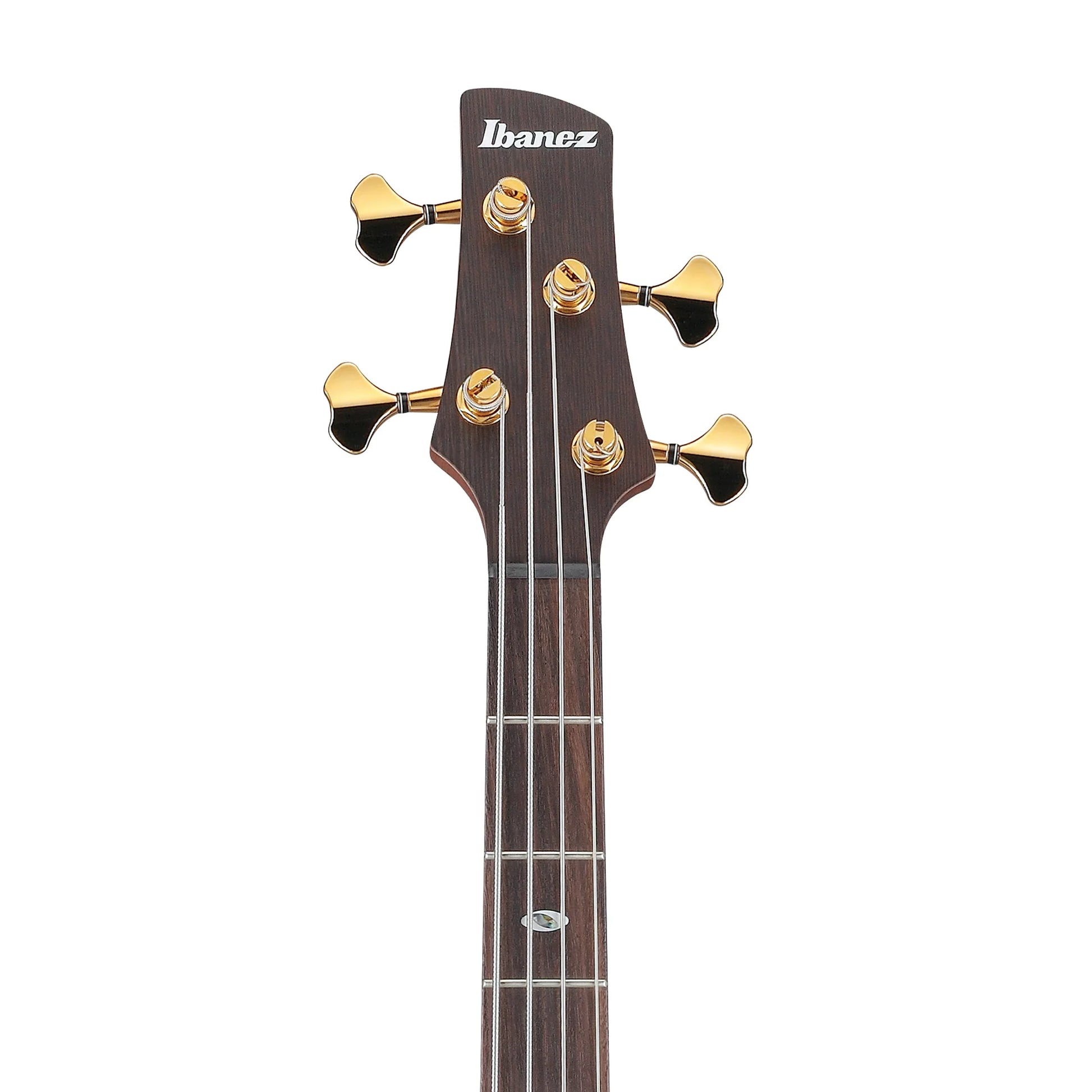 Đàn Guitar Bass Ibanez SR5500 SS, Rosewood Fingerboard - 4 Strings - Việt Music