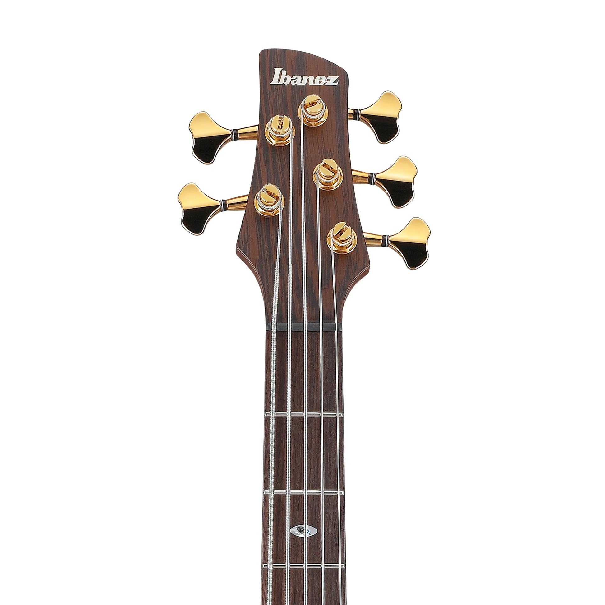 Đàn Guitar Bass Ibanez SR5505-MHF 5-String - Việt Music