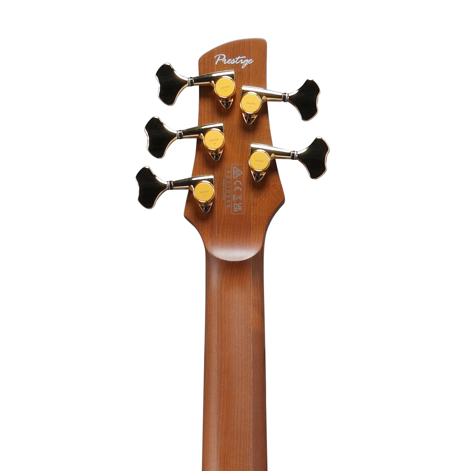 Đàn Guitar Bass Ibanez SR5505-MHF 5-String - Việt Music