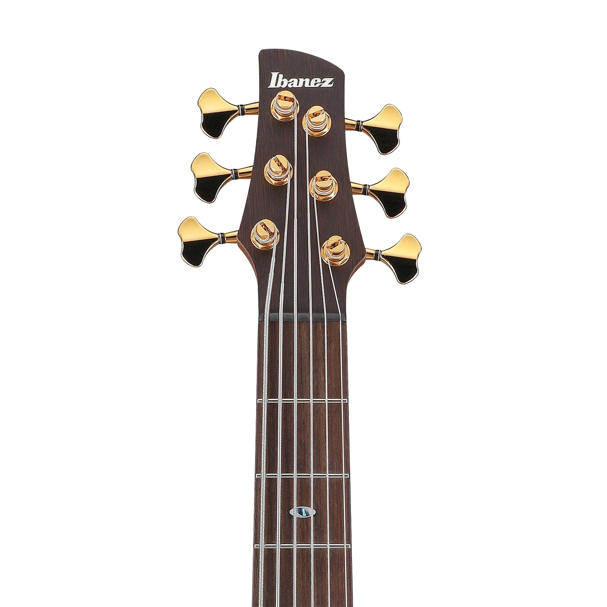 Đàn Guitar Bass Ibanez SR5506 SS, Rosewood Fingerboard - 6 Strings - Việt Music