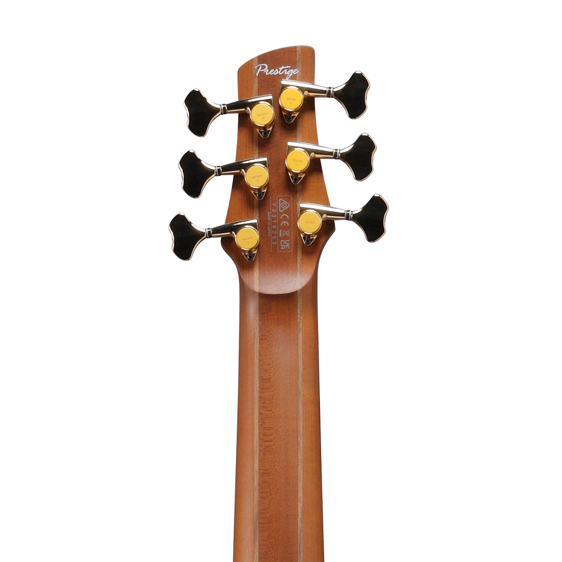 Đàn Guitar Bass Ibanez SR5506 SS, Rosewood Fingerboard - 6 Strings - Việt Music